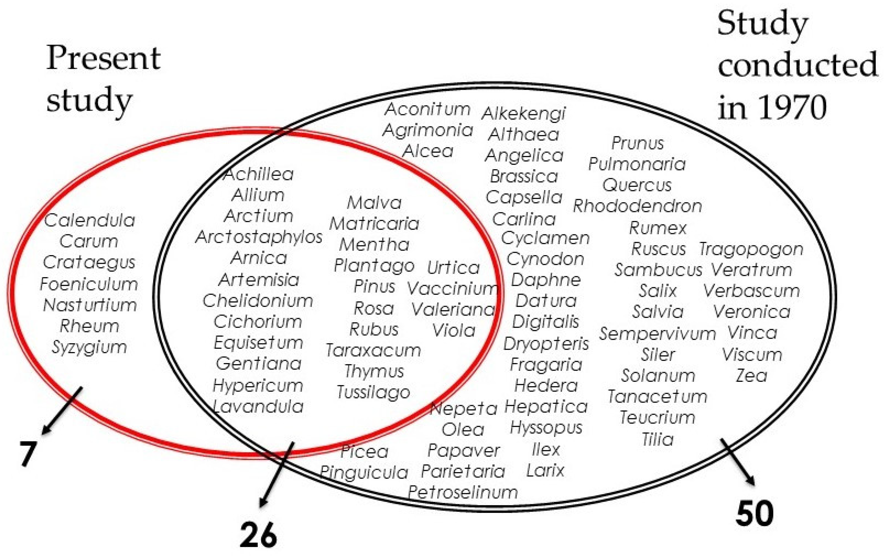 Plants 13 00043 g004