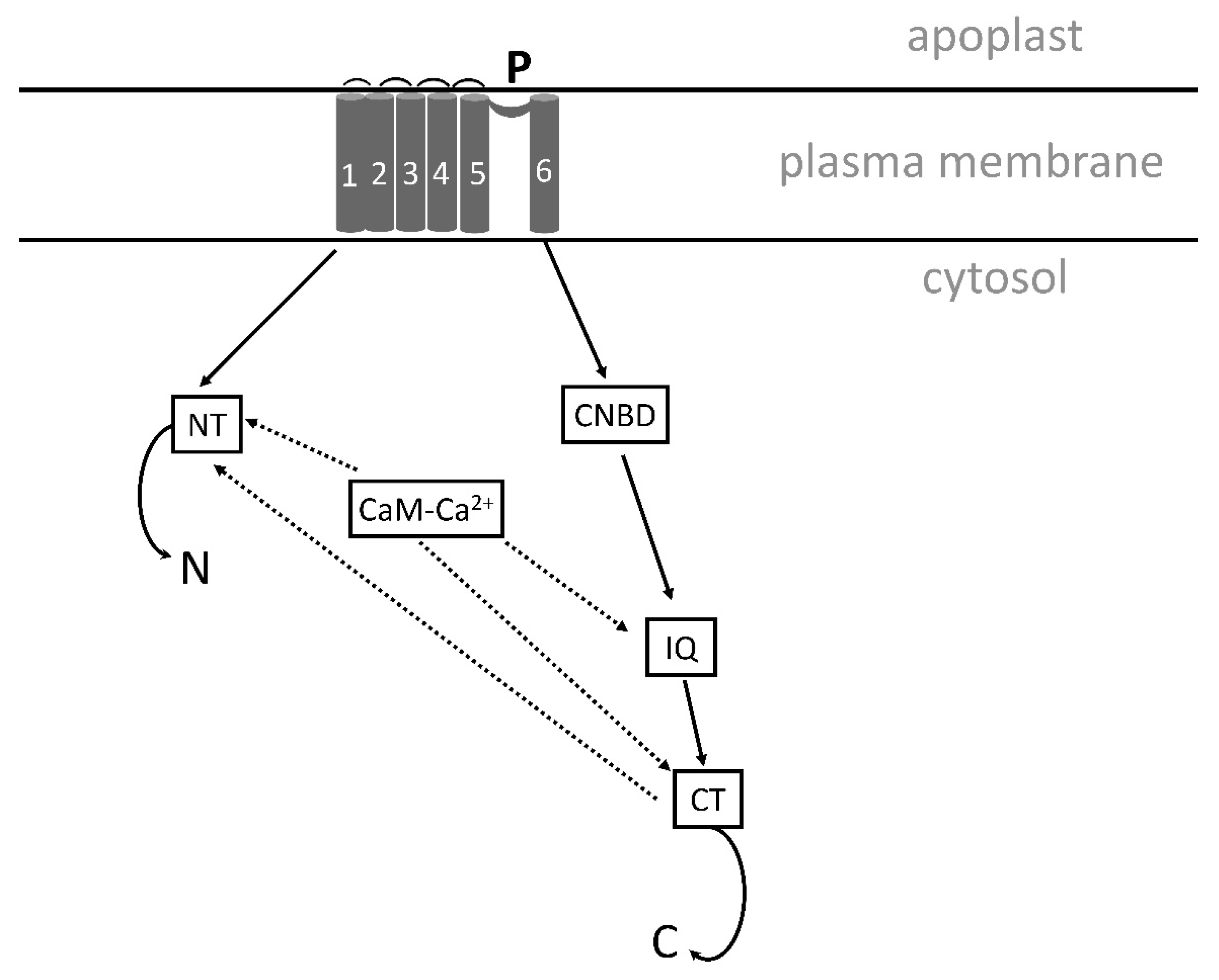 Plants 13 00046 g005 Plants 13 00046 g005
