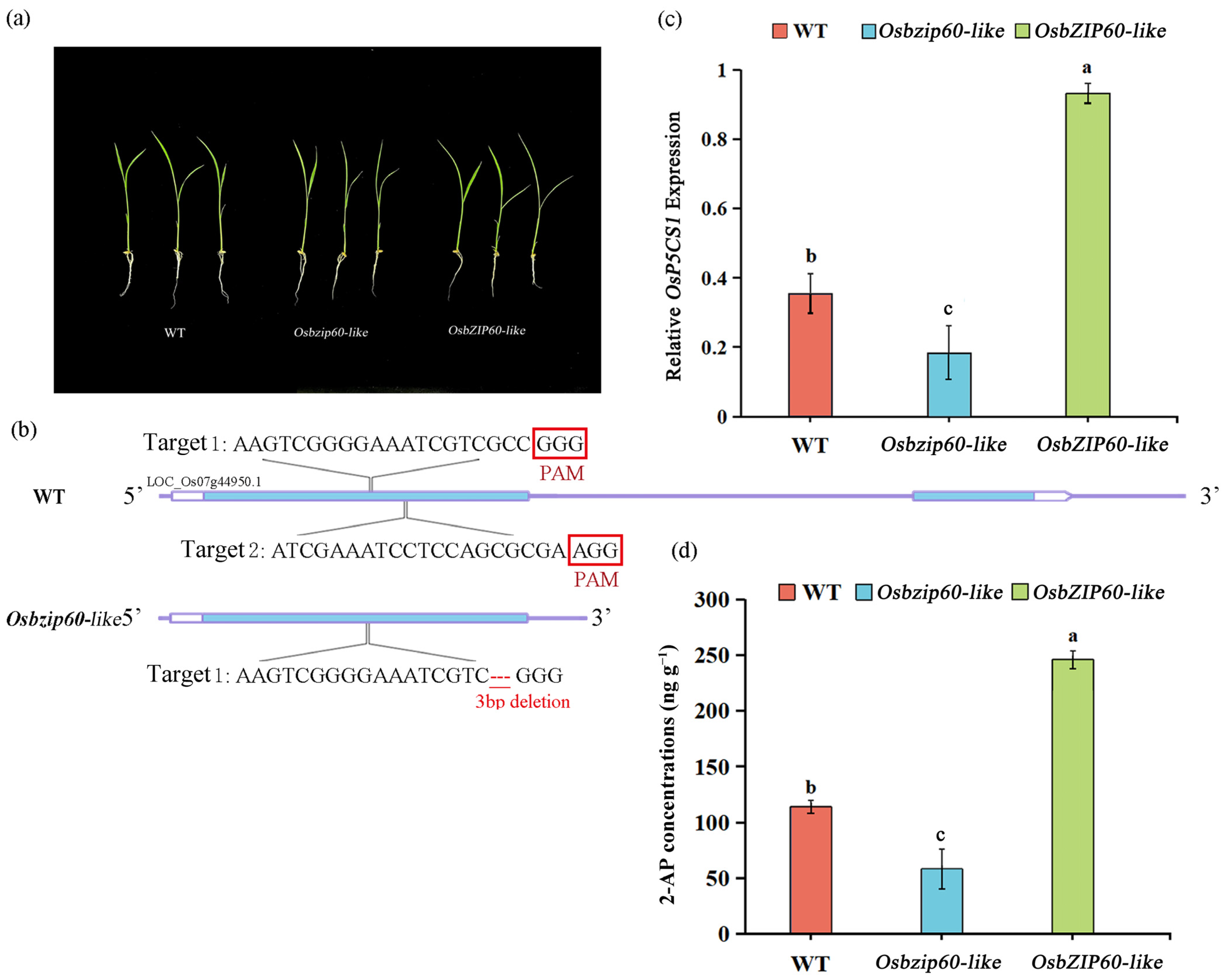 Plants 13 00049 g006 Plants 13 00049 g006