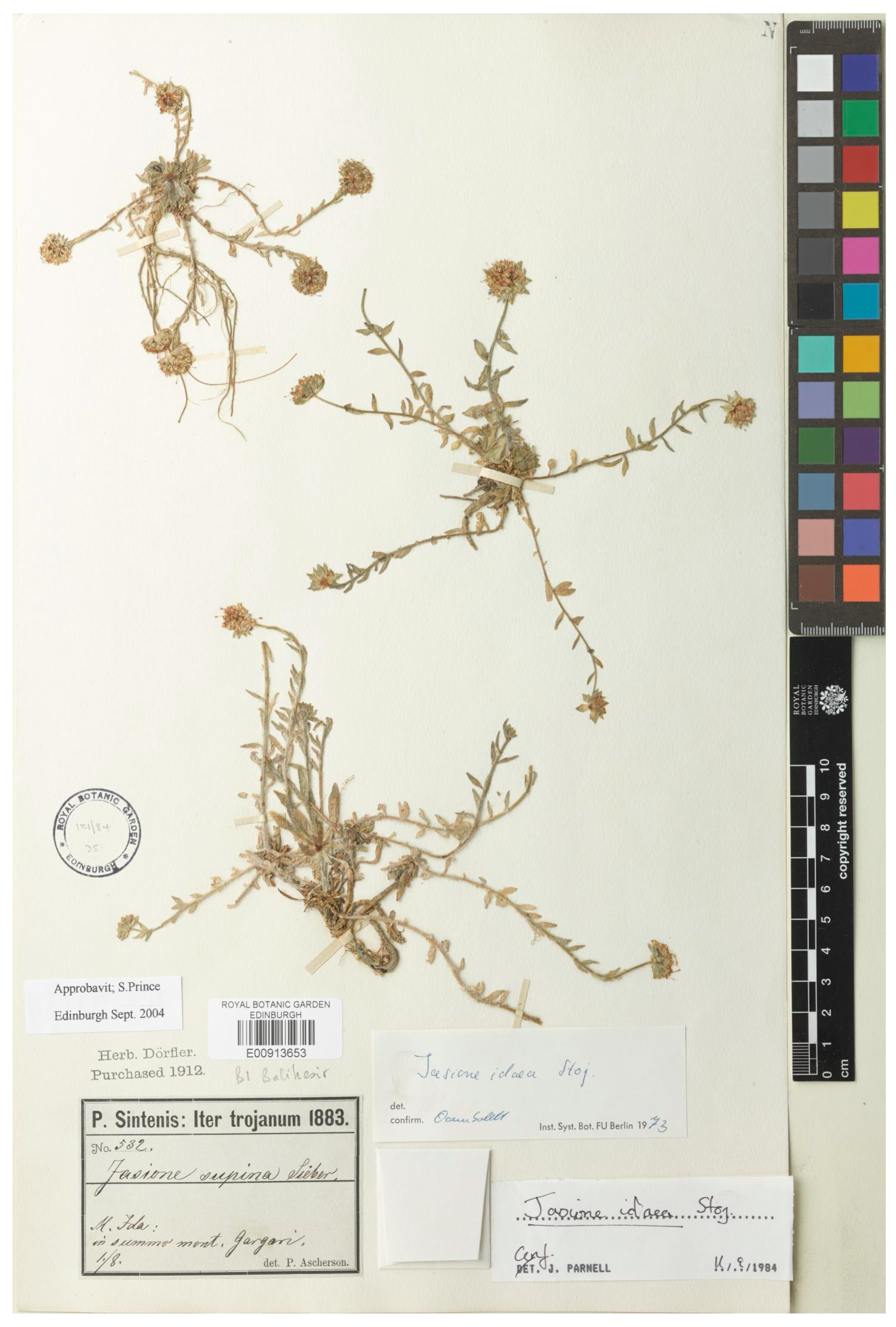 Plants 13 00050 g002