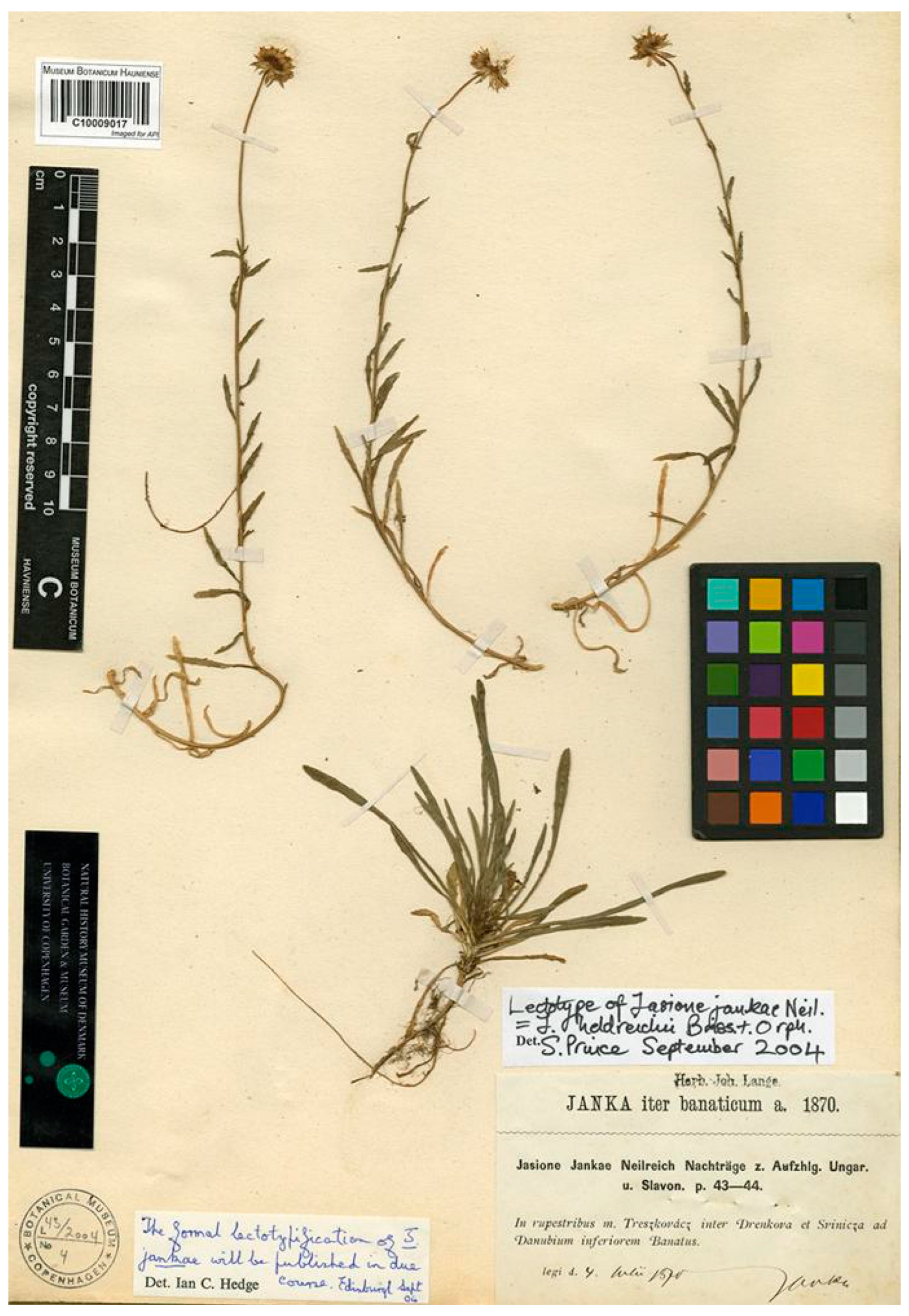 Plants 13 00050 g003