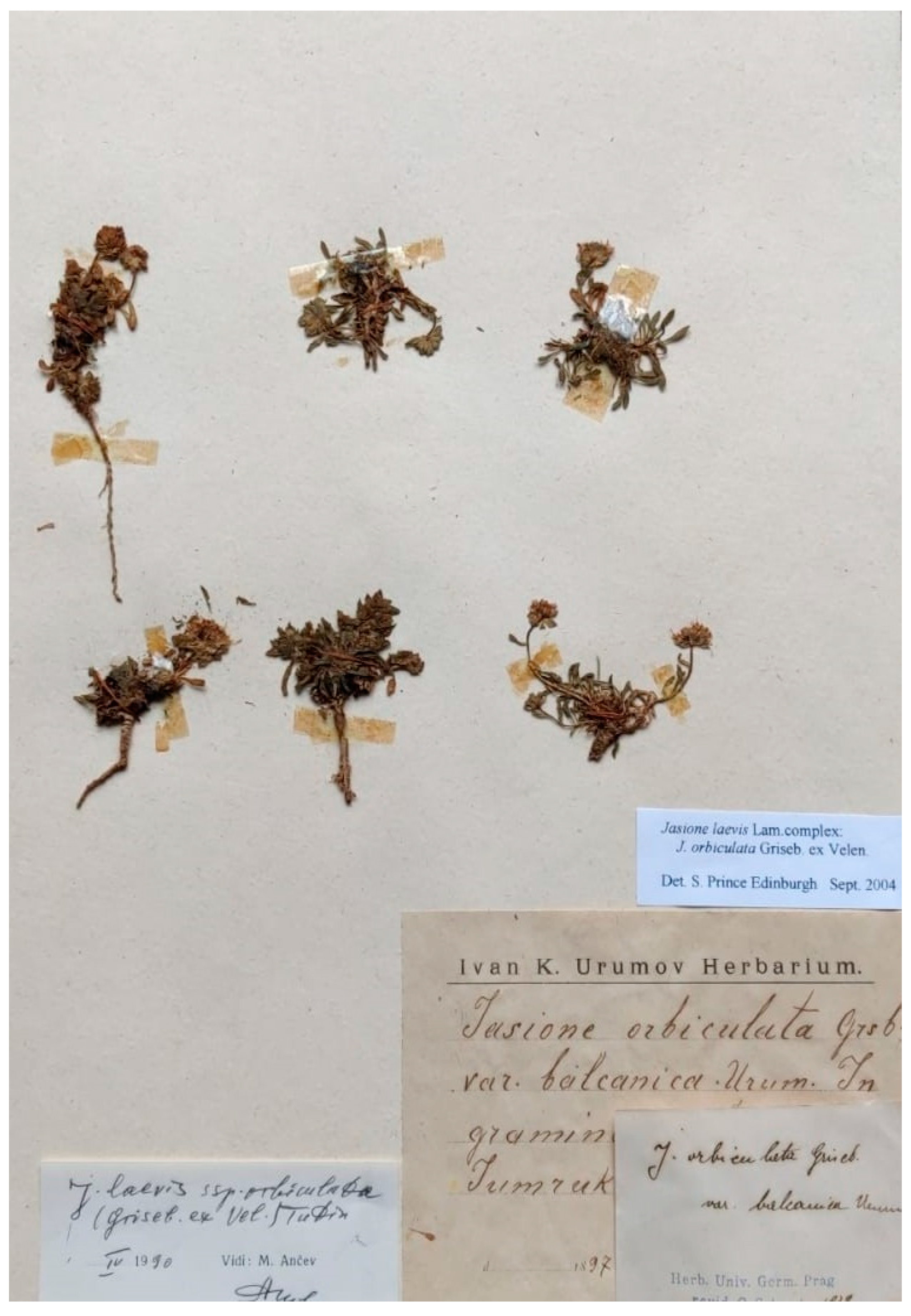 Plants 13 00050 g005