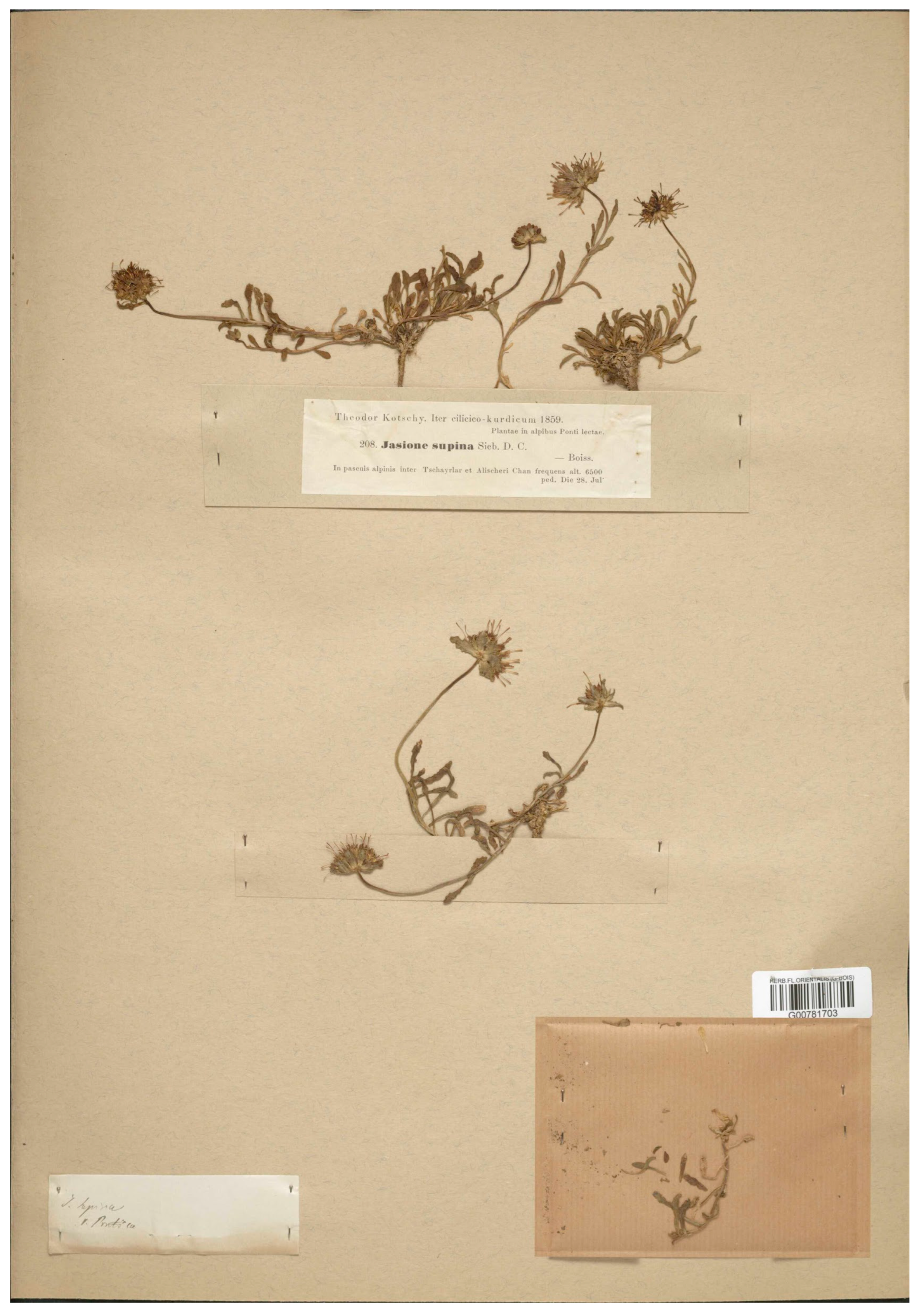 Plants 13 00050 g011