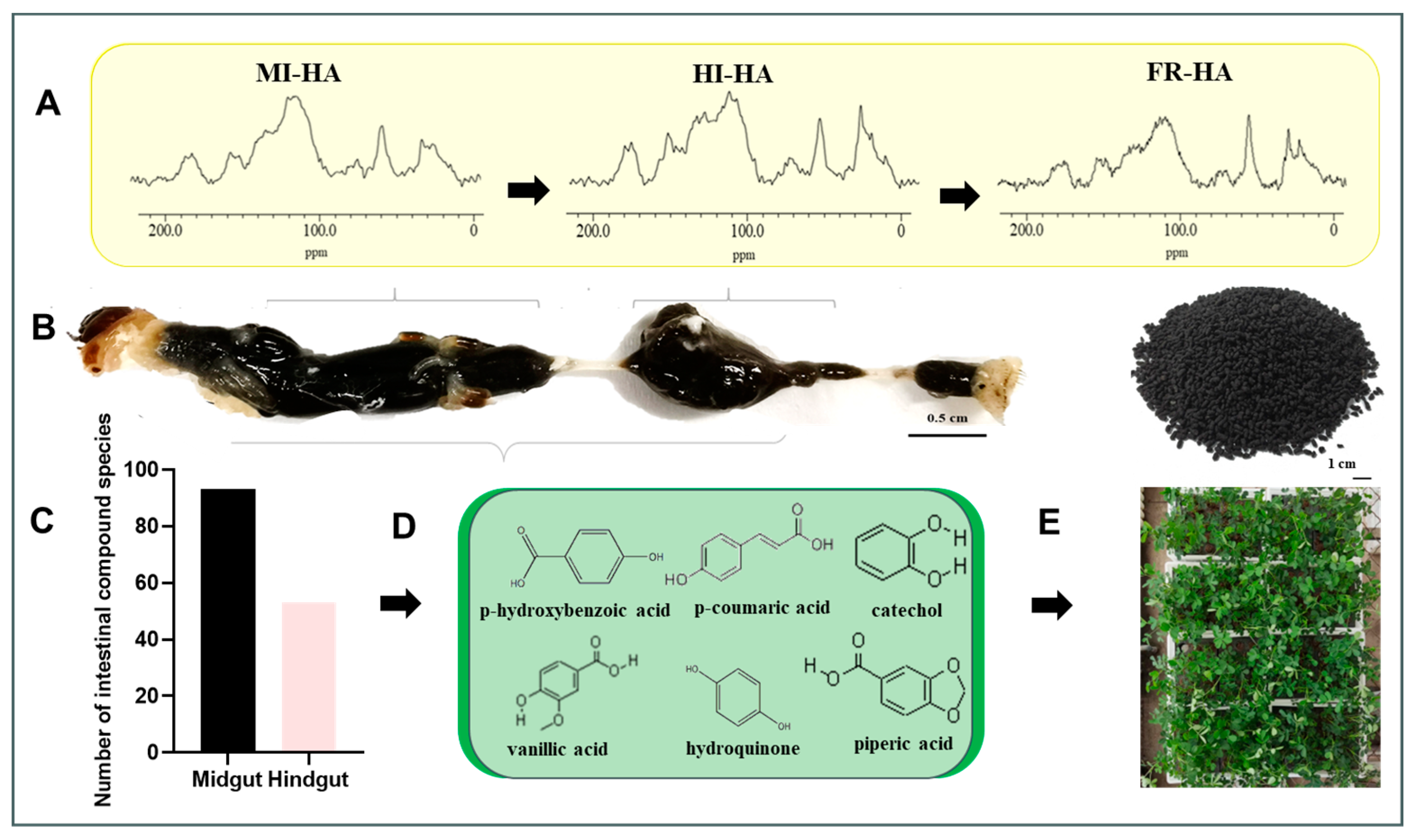 A New Method for Discovering Plant Biostimulants