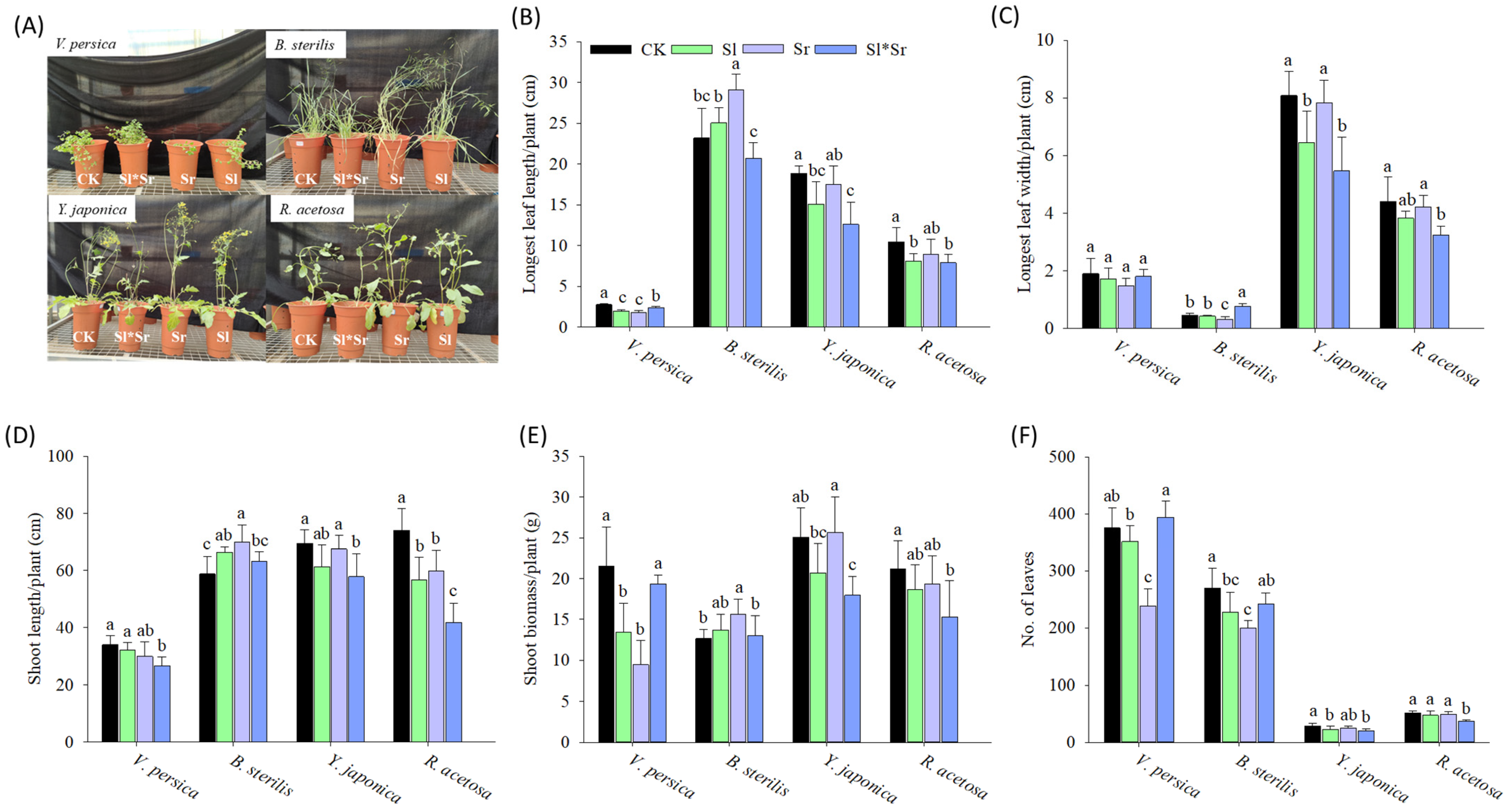 Plants 13 00058 g001