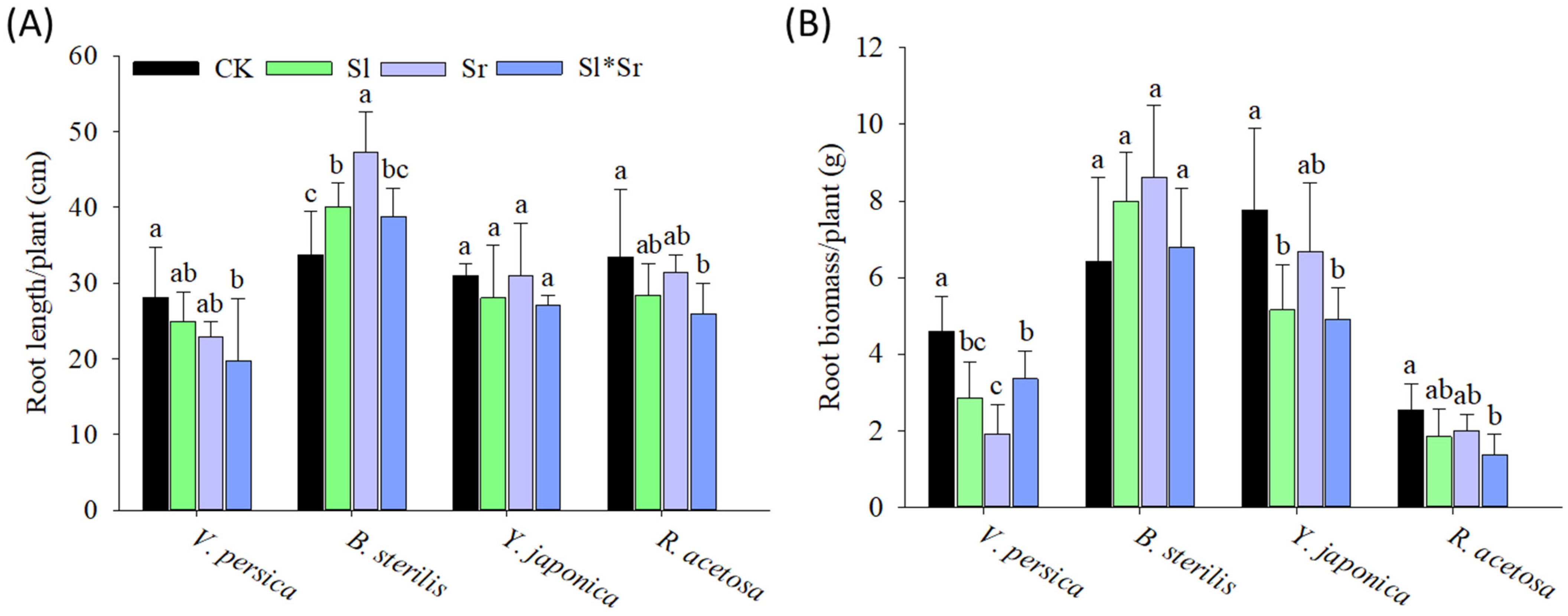 Plants 13 00058 g002