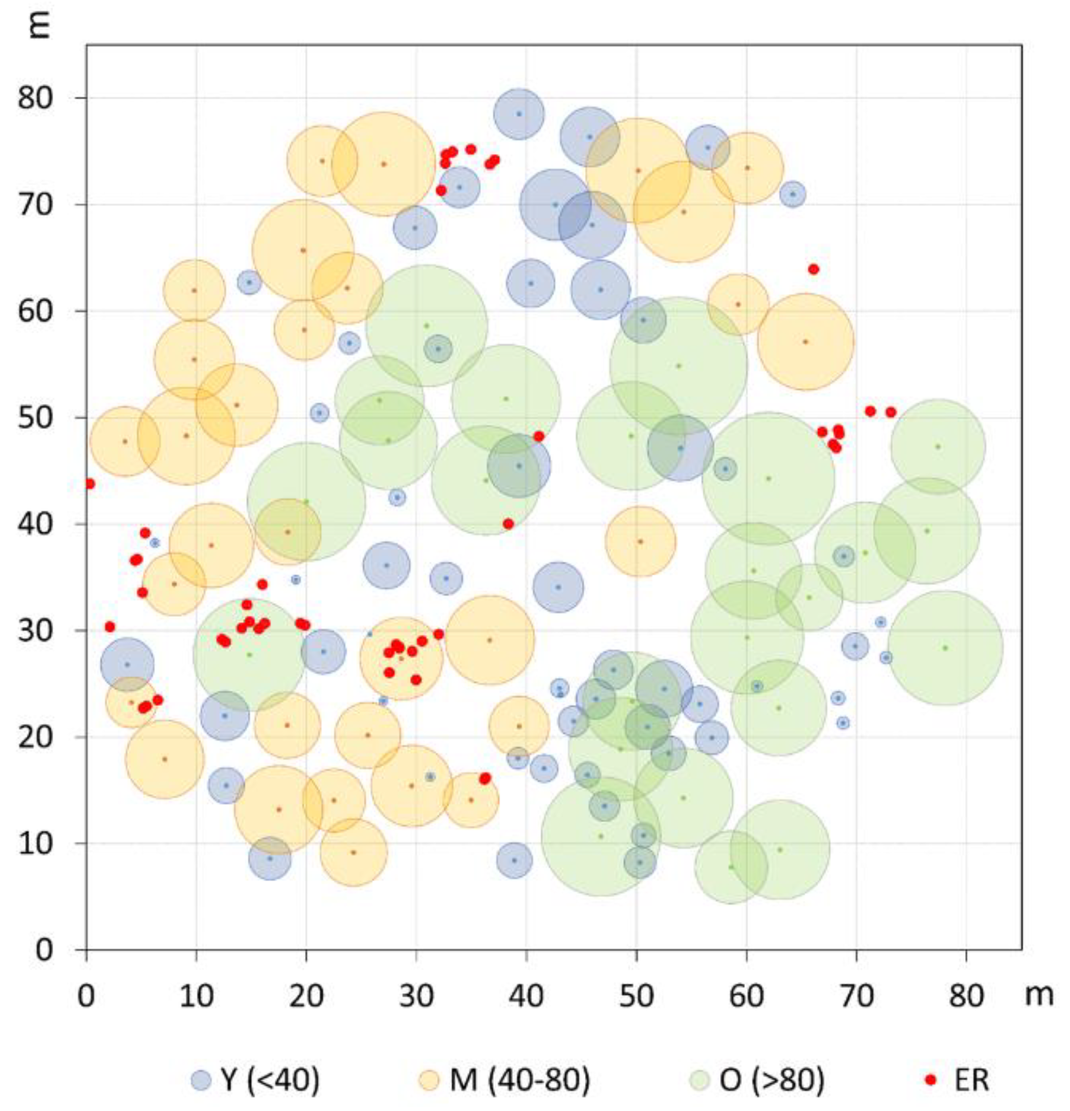 Plants 13 00061 g002