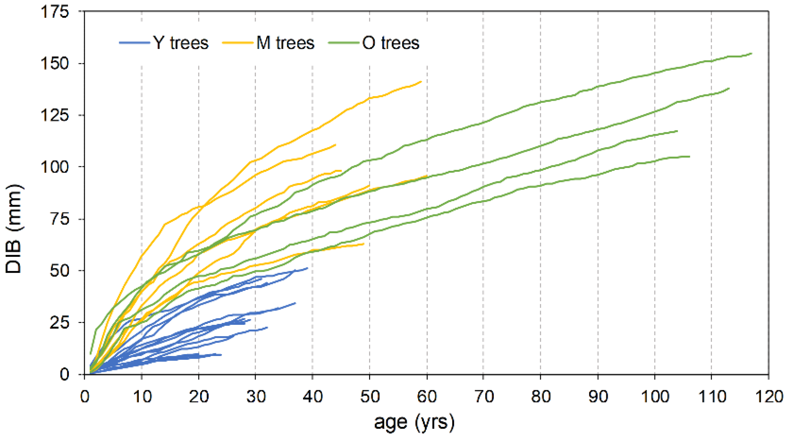 Plants 13 00061 g006