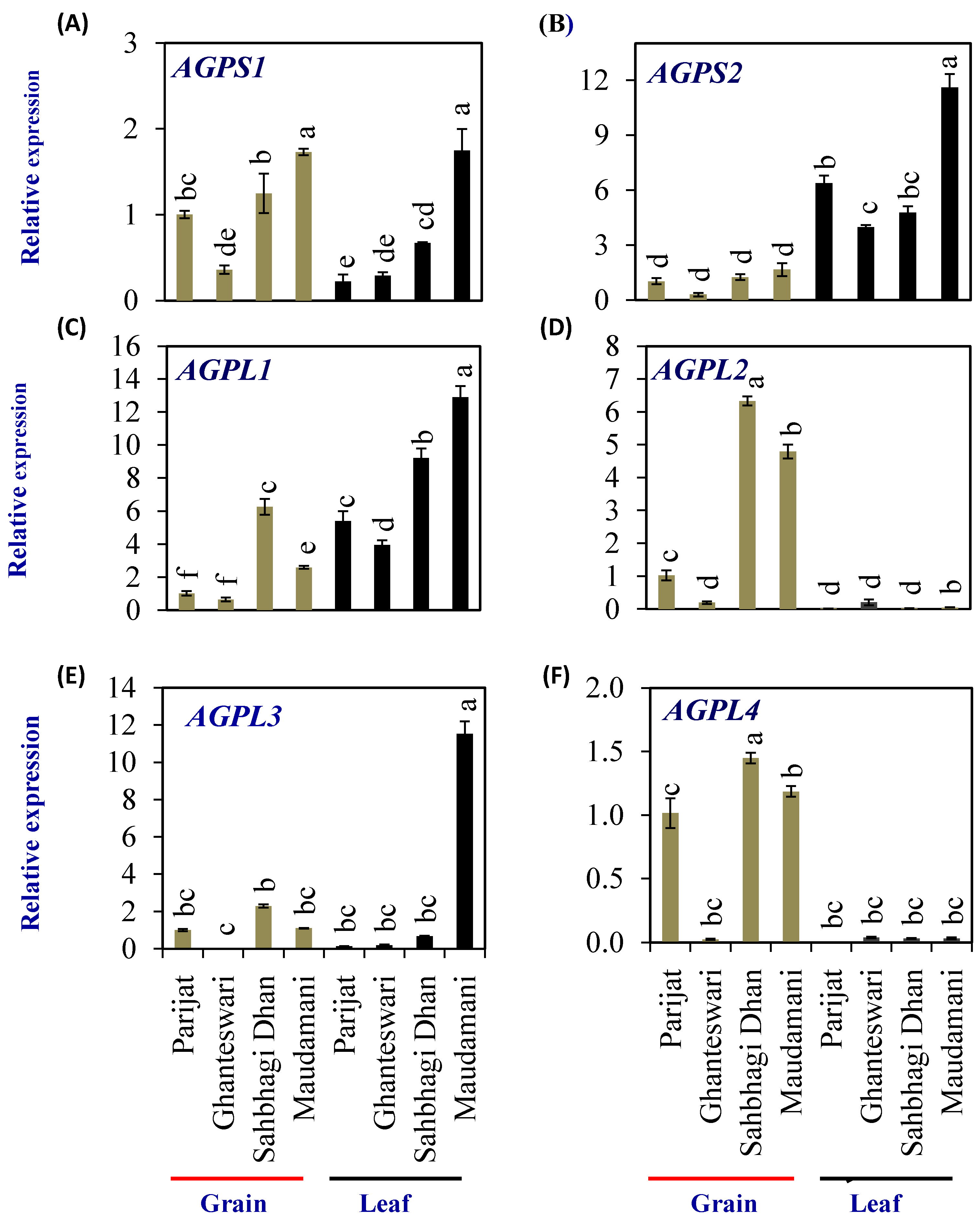 Plants 13 00062 g006