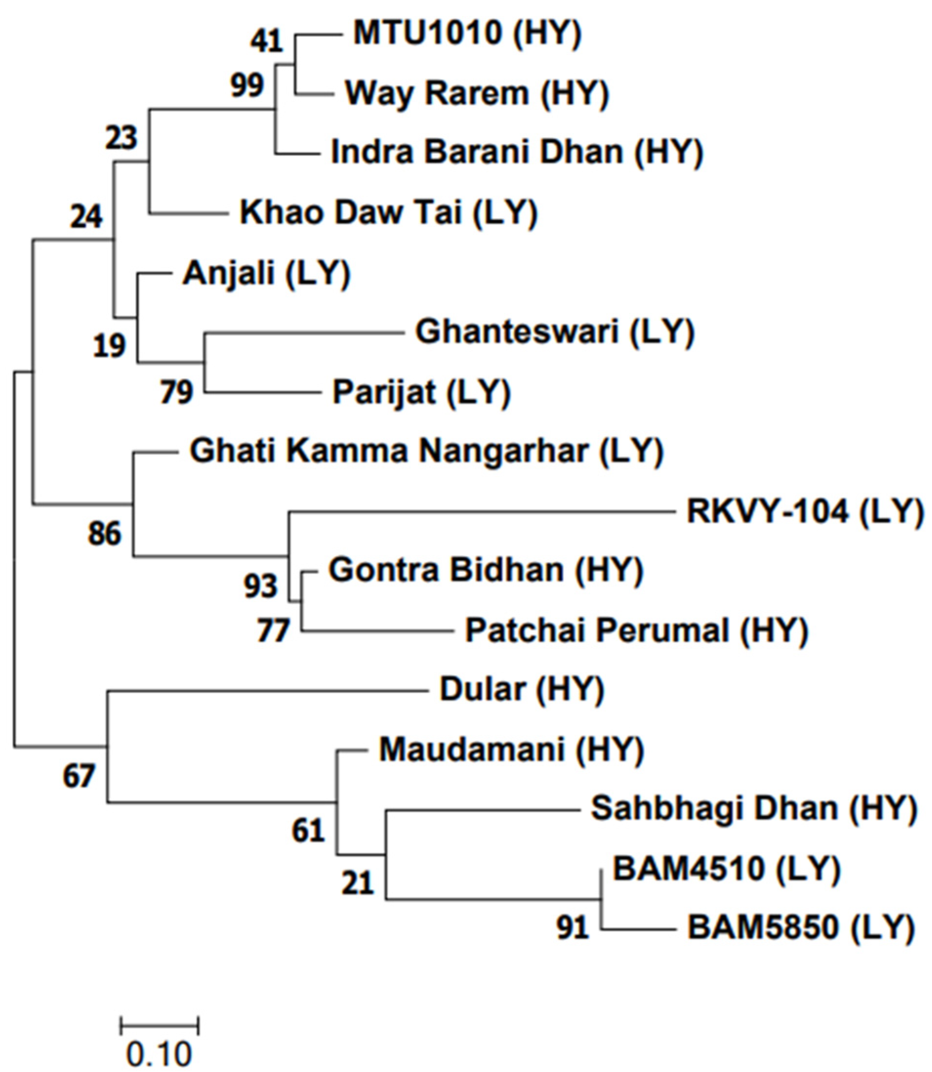 Plants 13 00062 g008