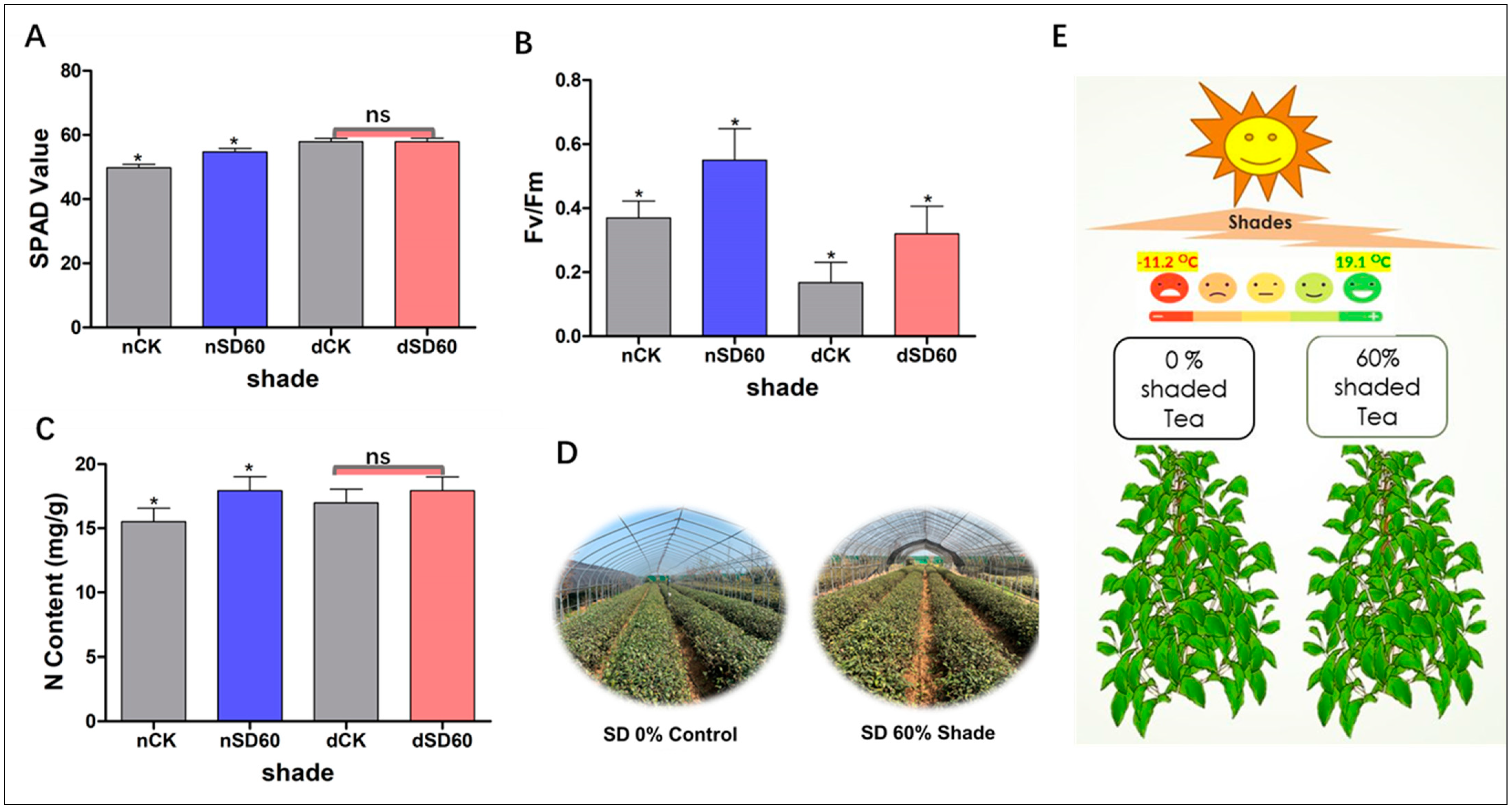 Plants 13 00063 g001