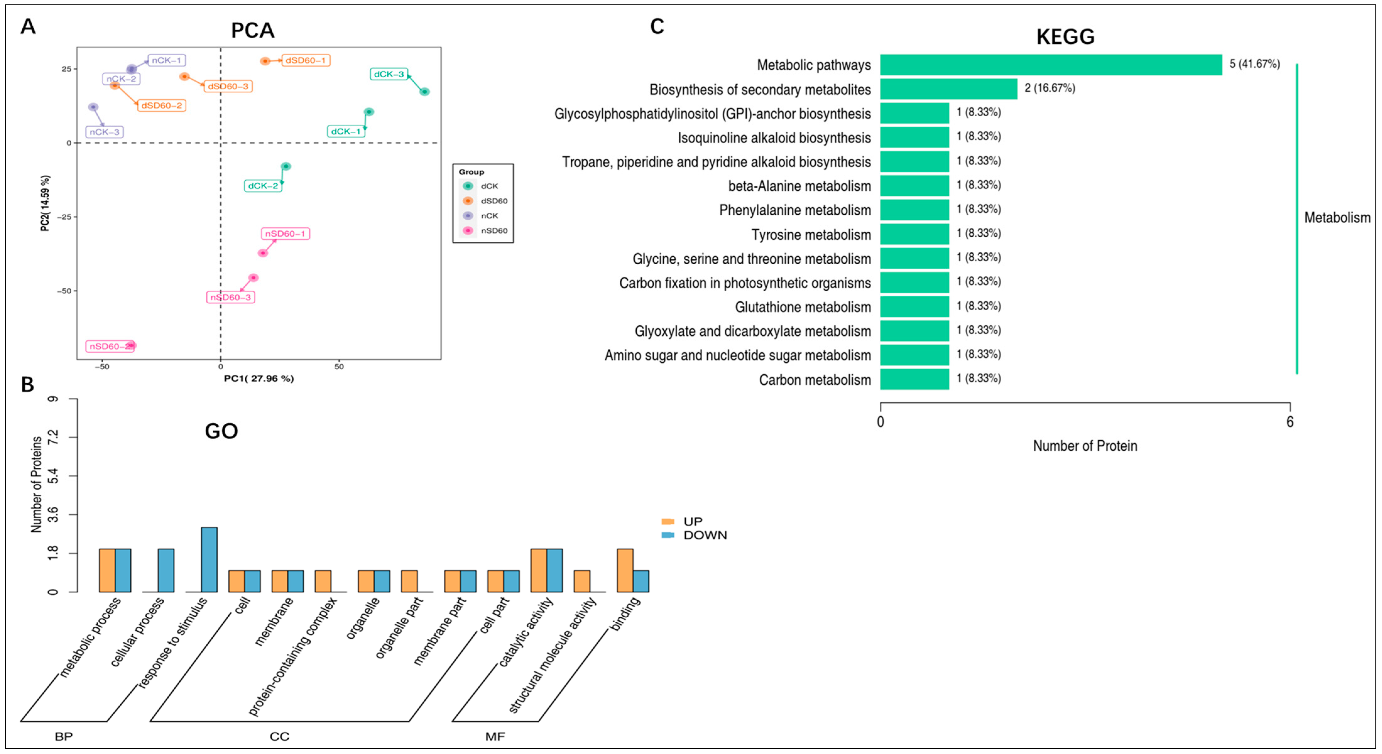 Plants 13 00063 g003