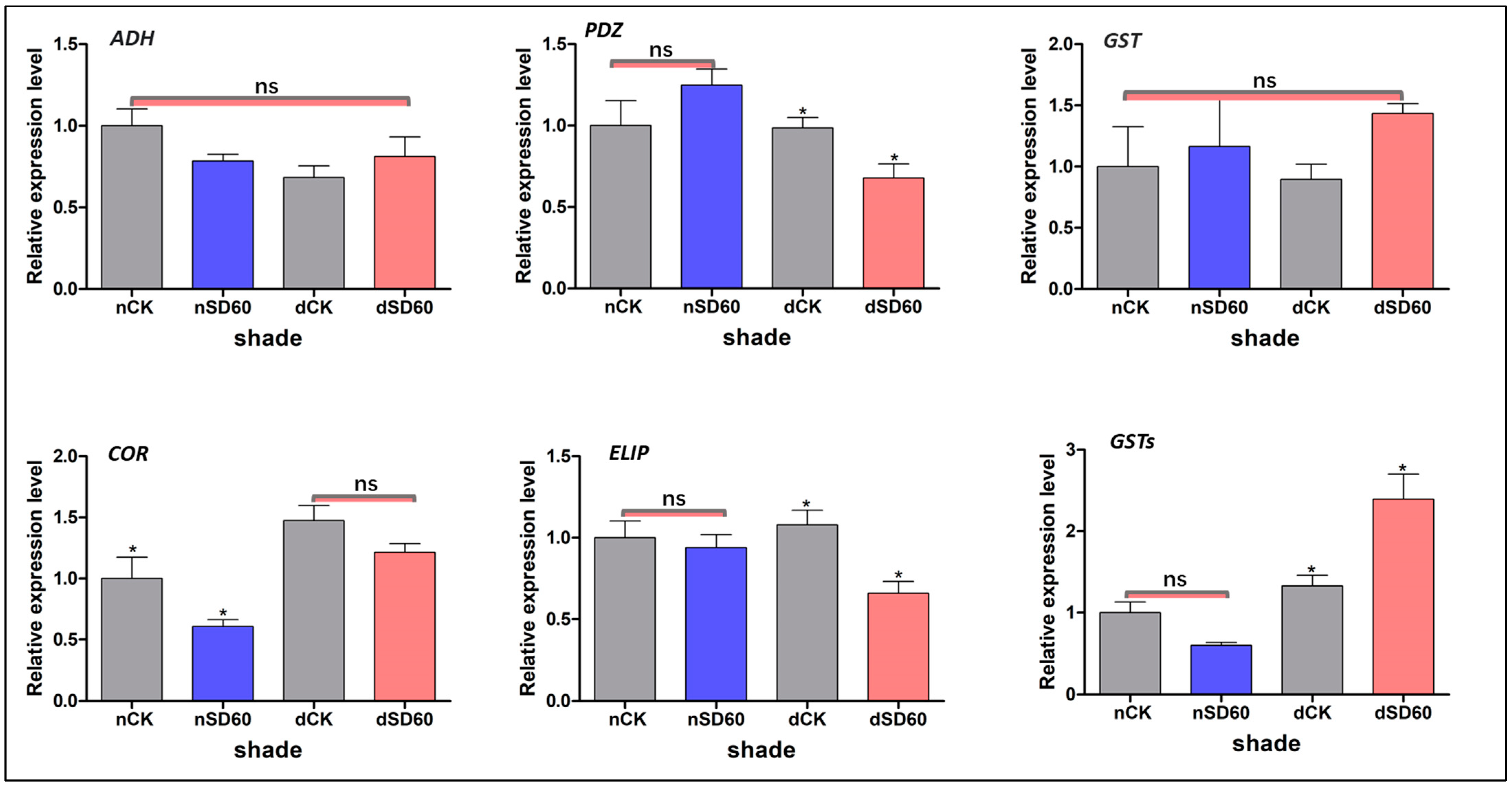 Plants 13 00063 g005
