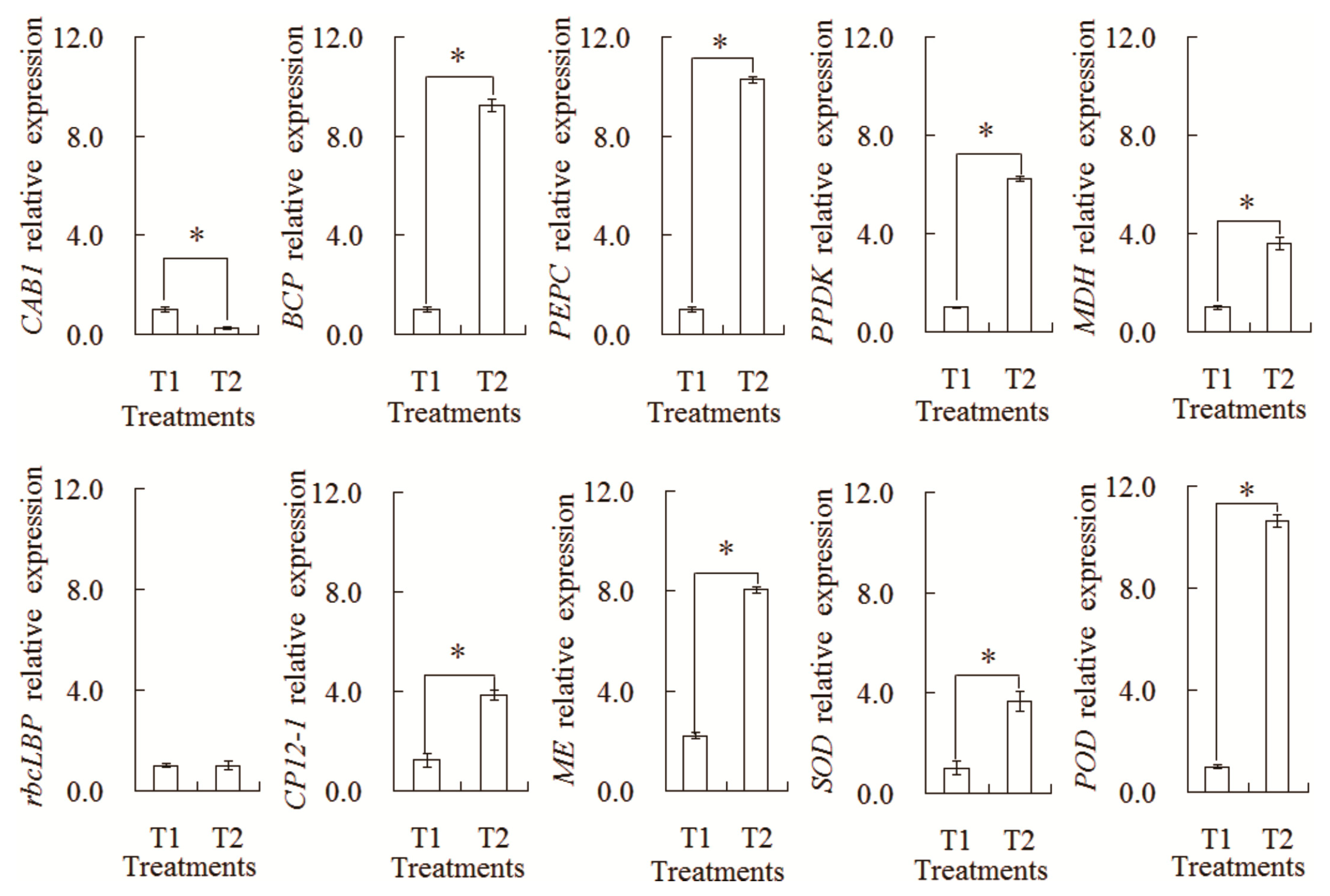 Plants 13 00065 g009
