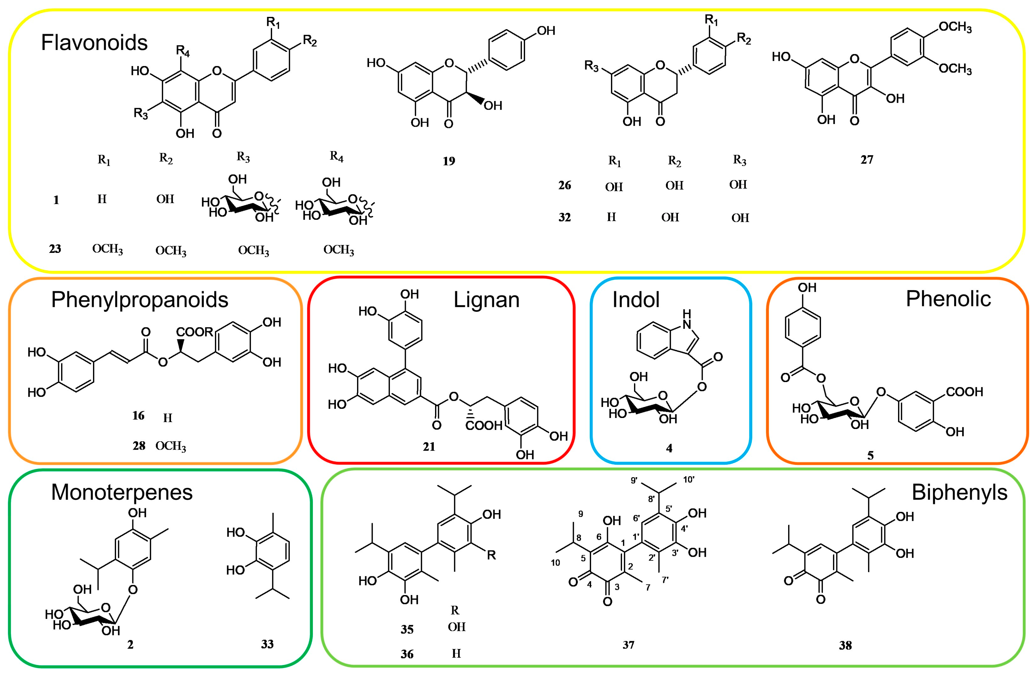 Plants 13 00067 g002