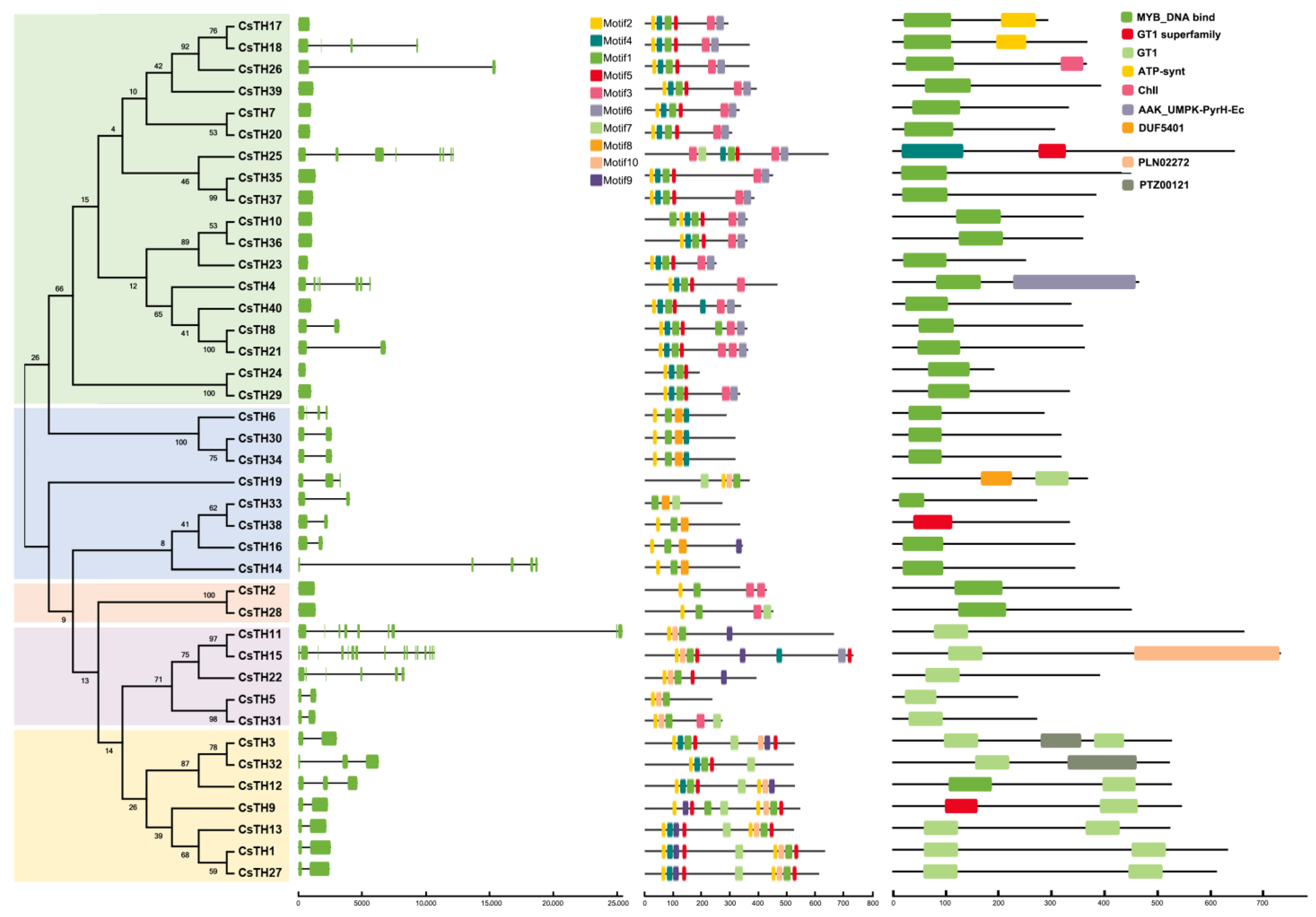 Plants 13 00070 g002