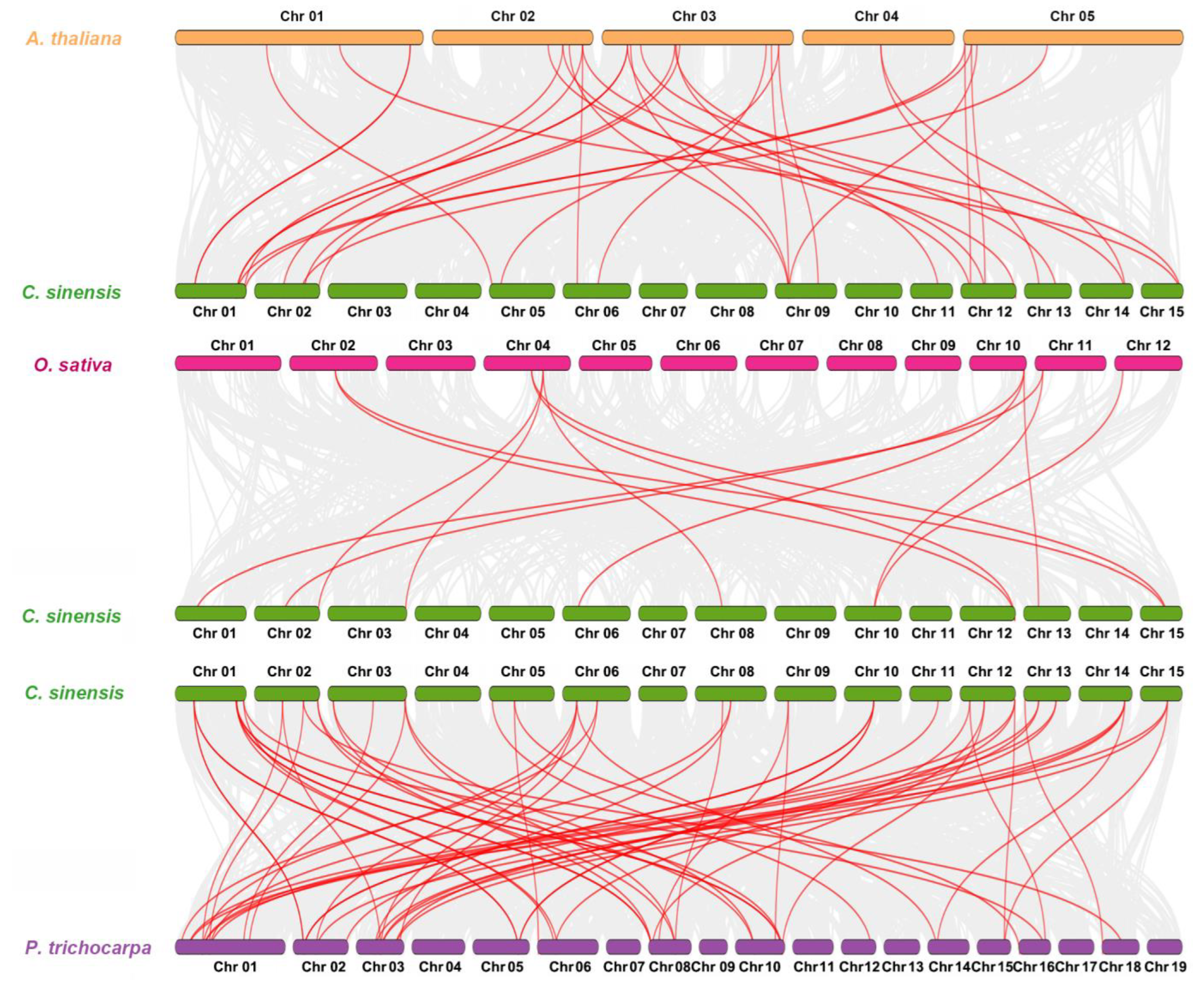 Plants 13 00070 g003