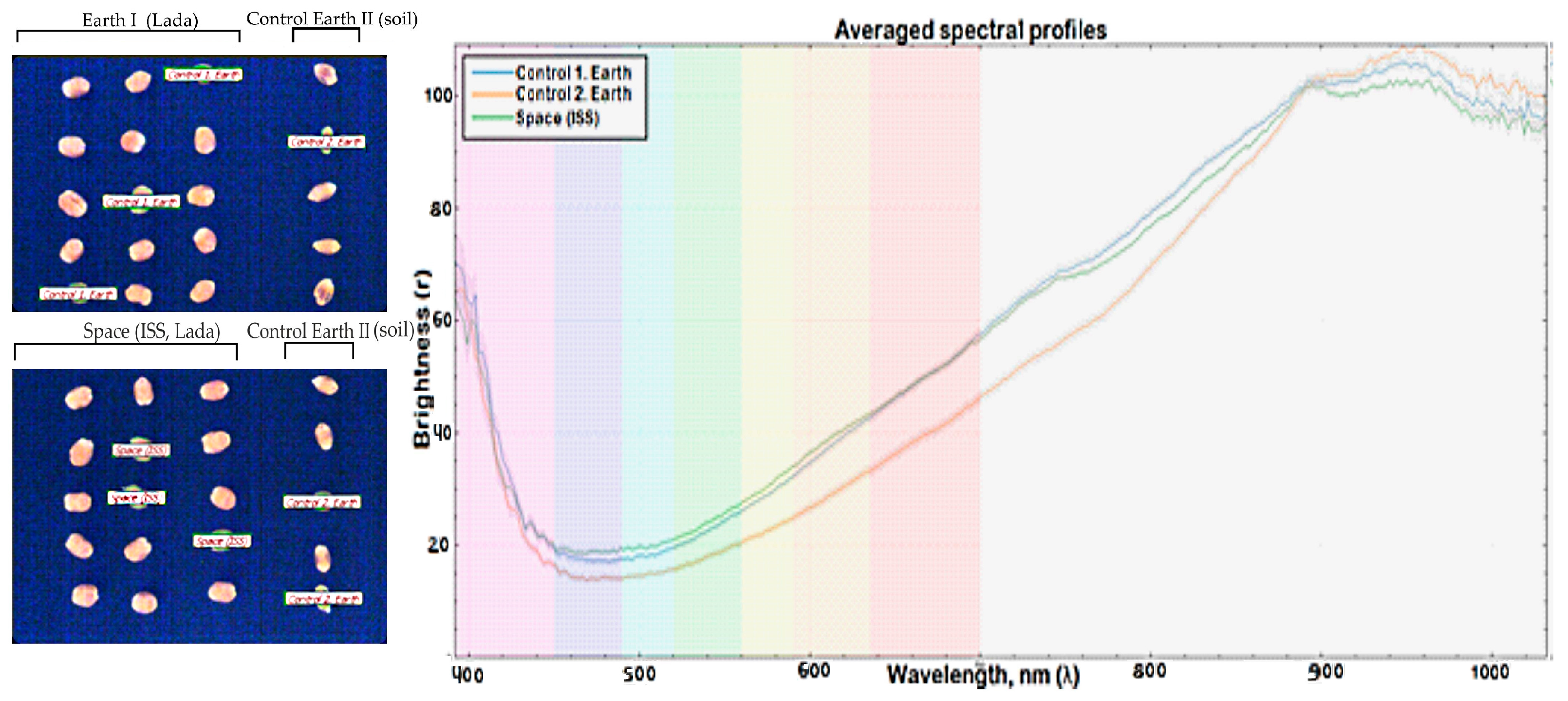 Plants 13 00073 g007
