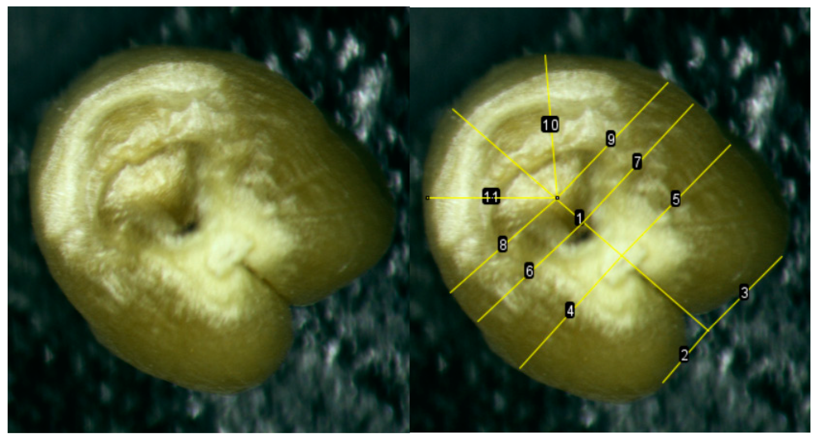 Plants 13 00073 g014