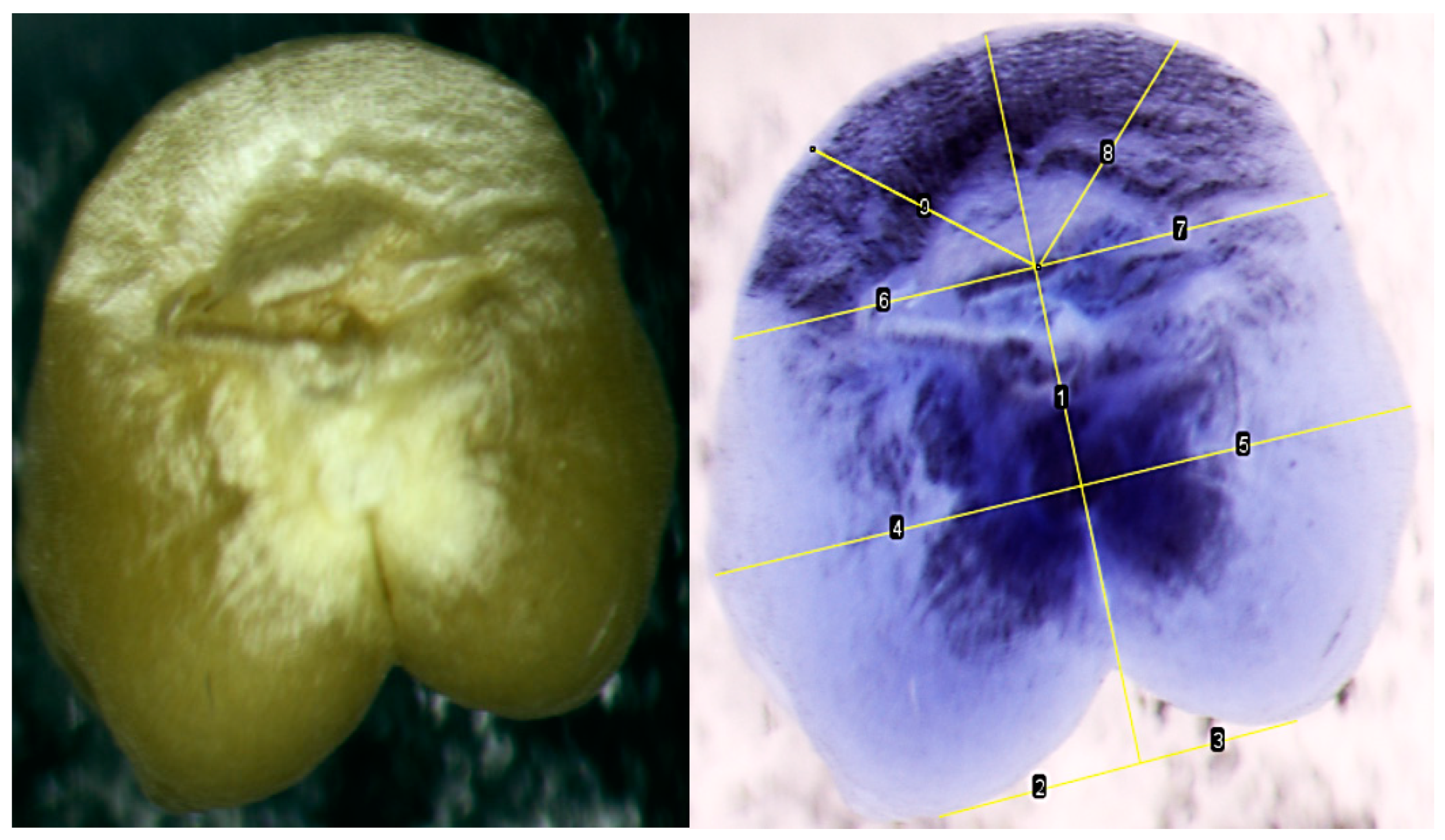 Plants 13 00073 g015