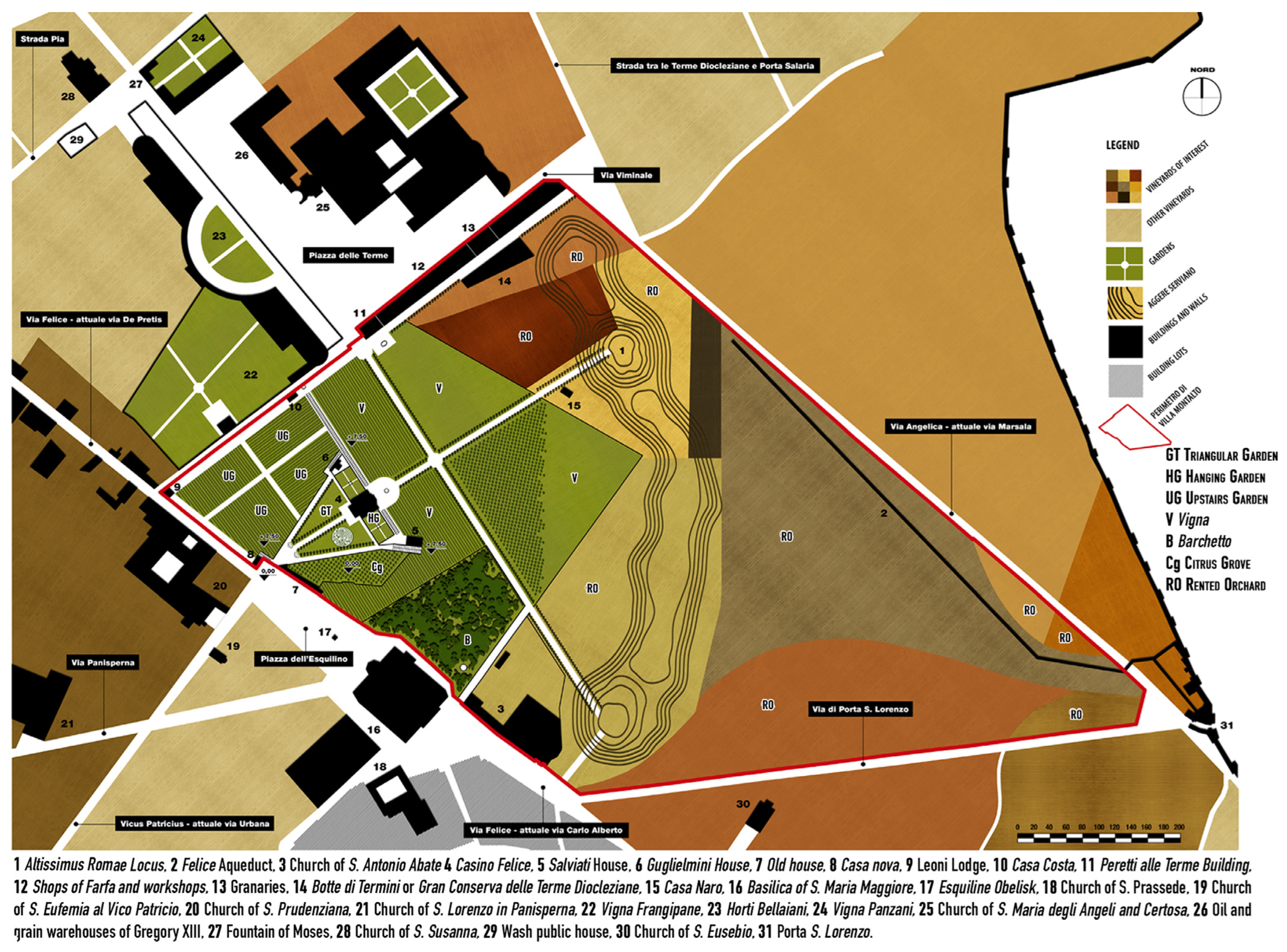 Plants 13 00077 g002