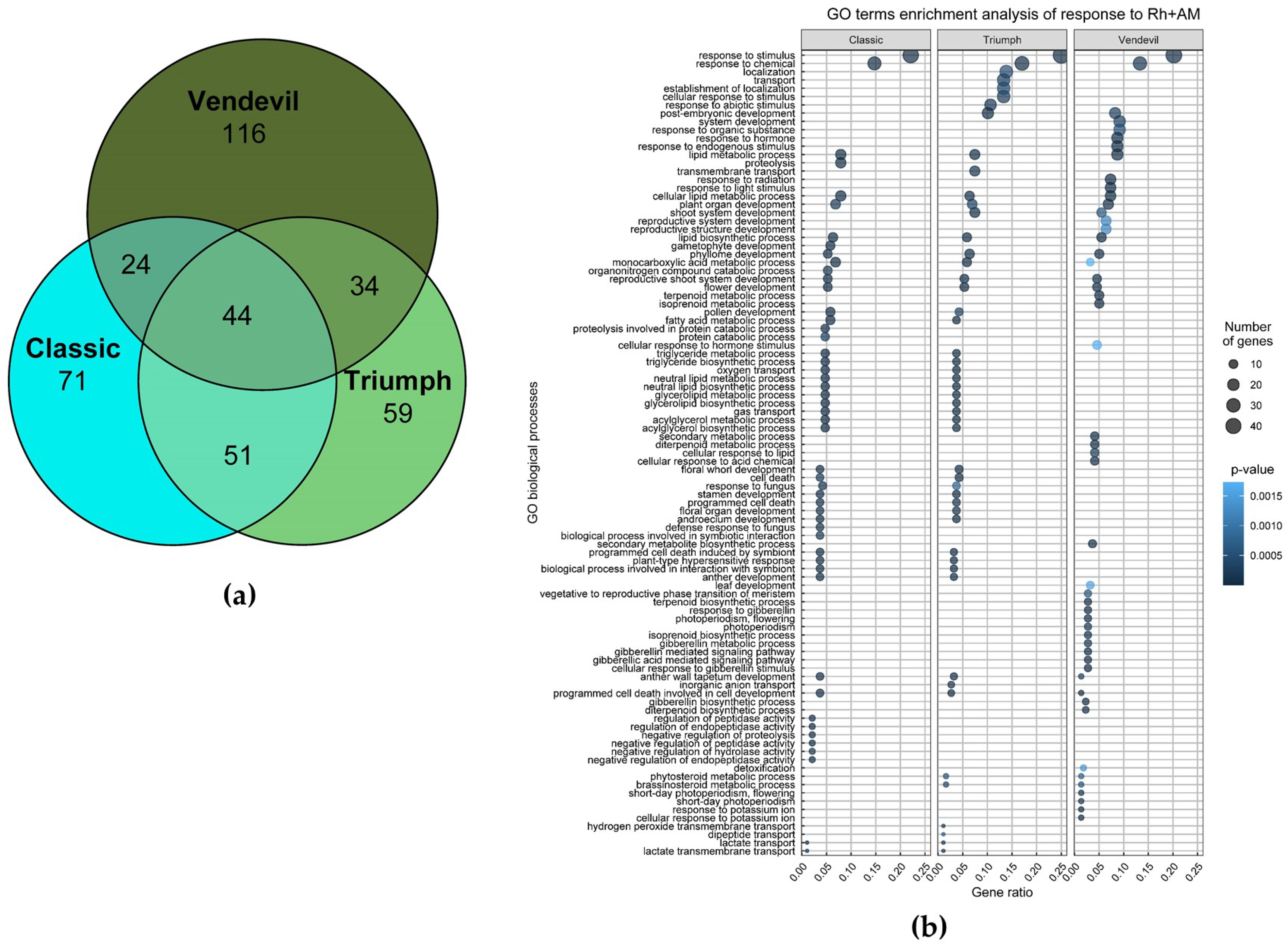 Plants 13 00078 g003 Plants 13 00078 g003