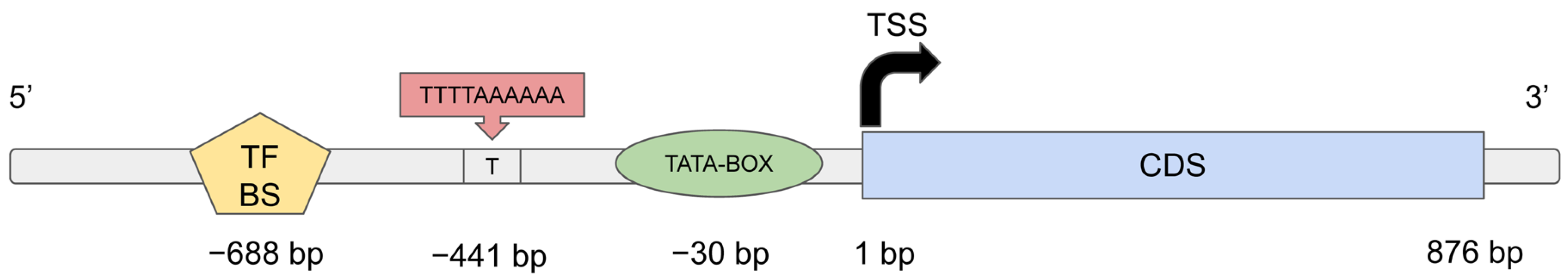 Plants 13 00078 g005 Plants 13 00078 g005