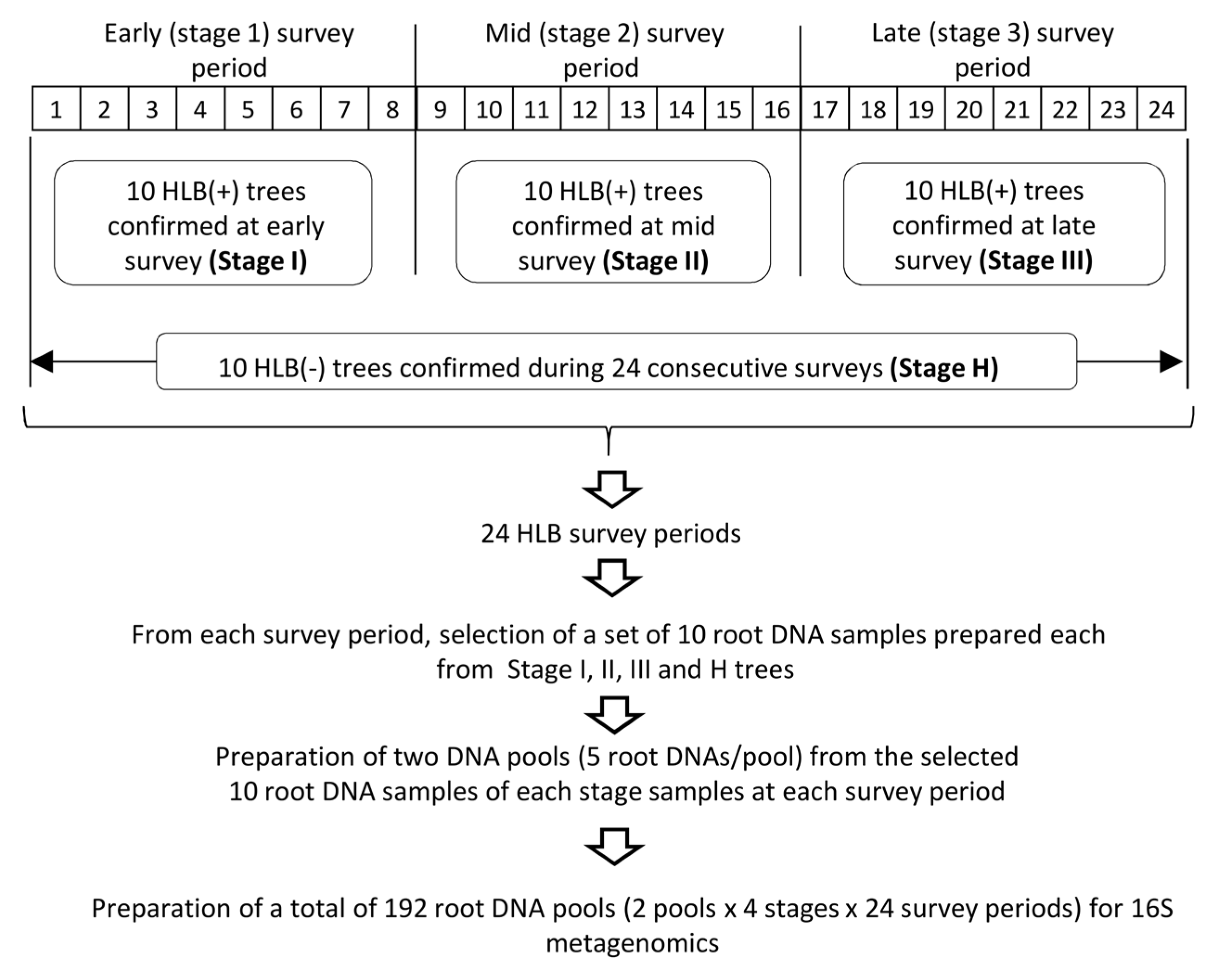 Plants 13 00080 g001