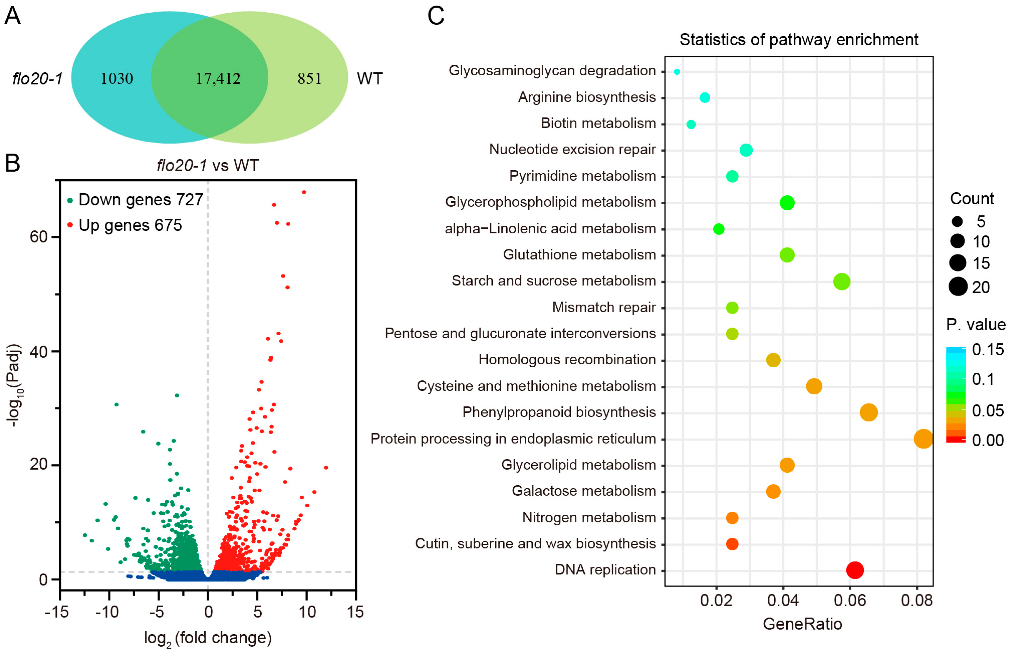Plants 13 00081 g007