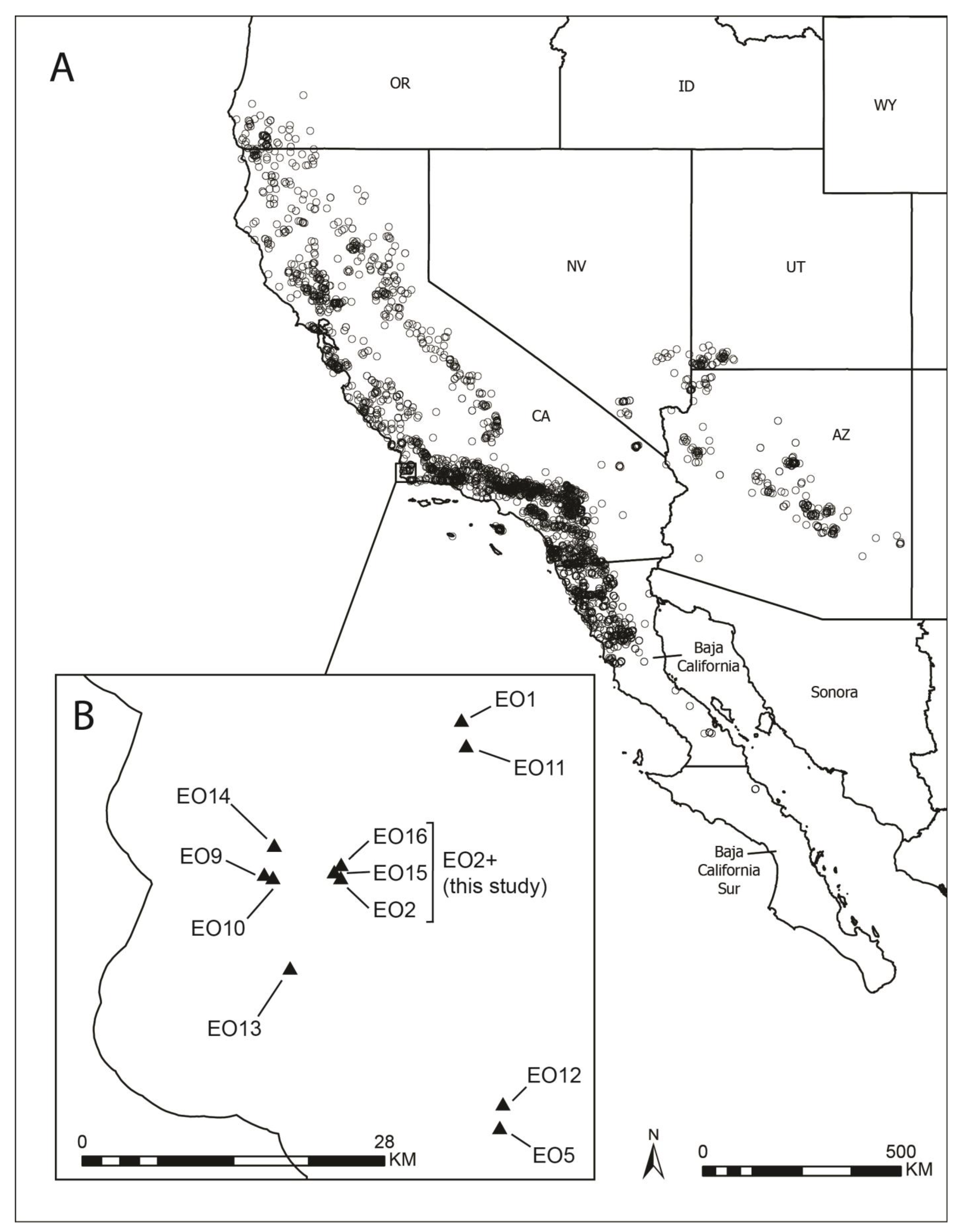 Plants 13 00090 g001