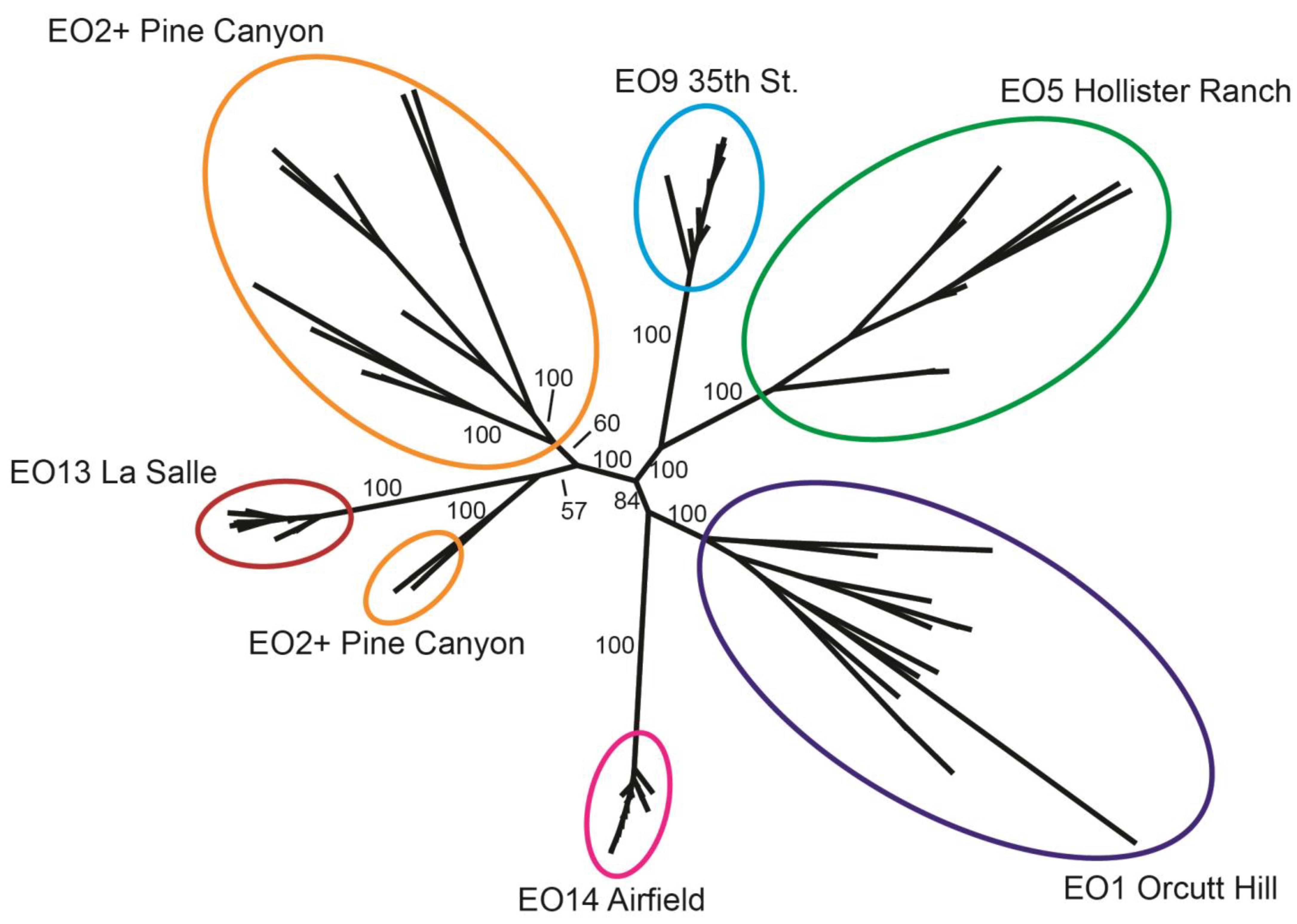 Plants 13 00090 g005
