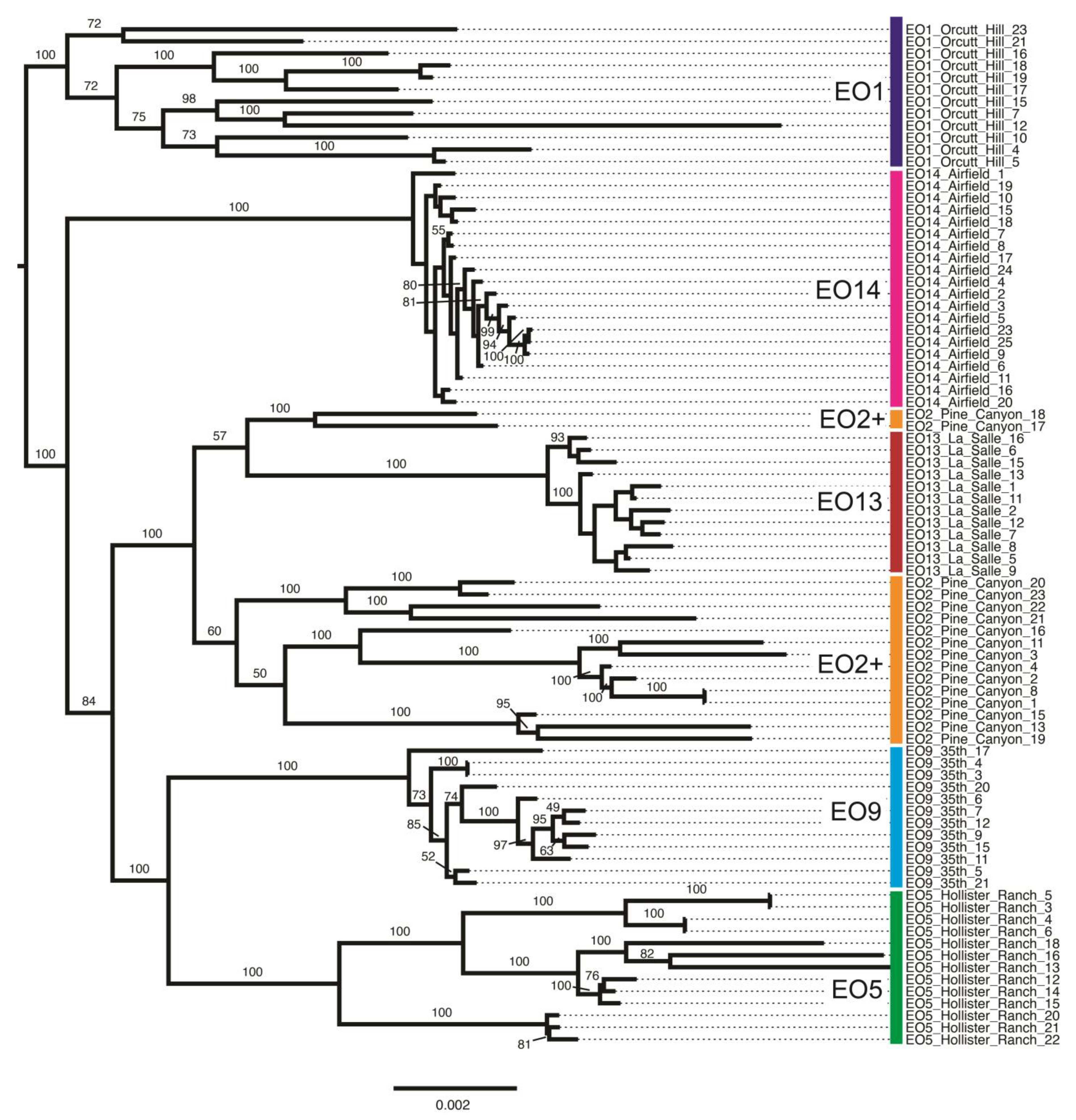 Plants 13 00090 g006