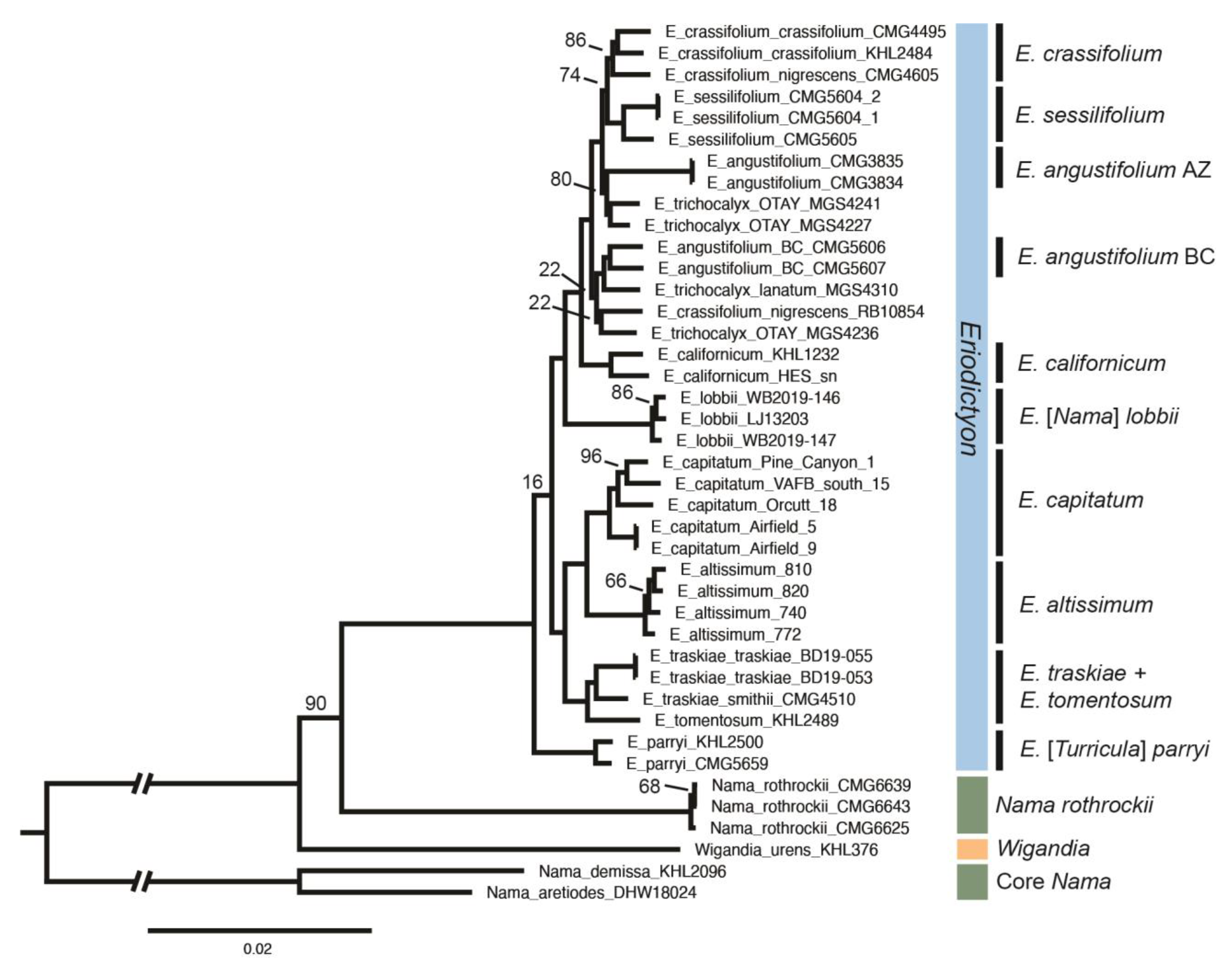 Plants 13 00090 g008