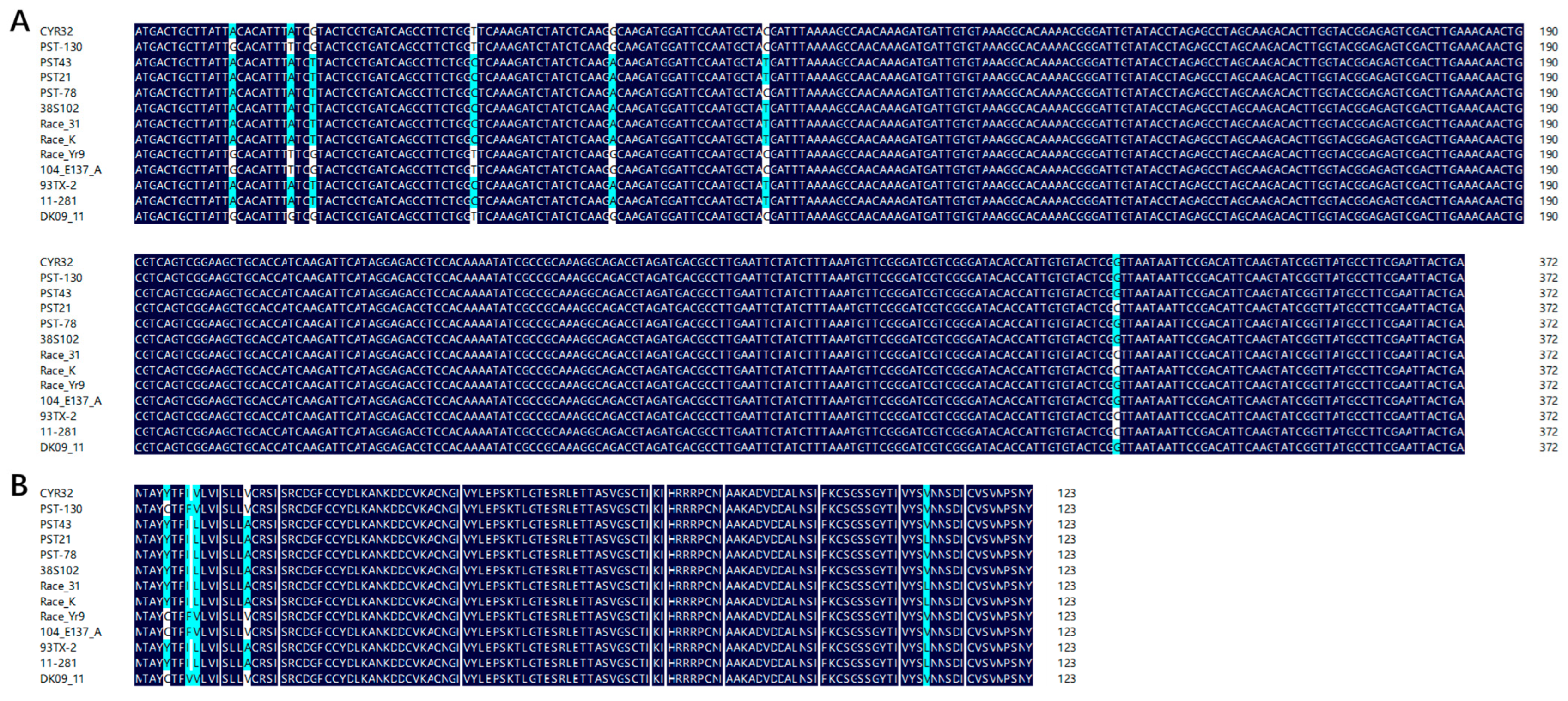 Plants 13 00094 g001