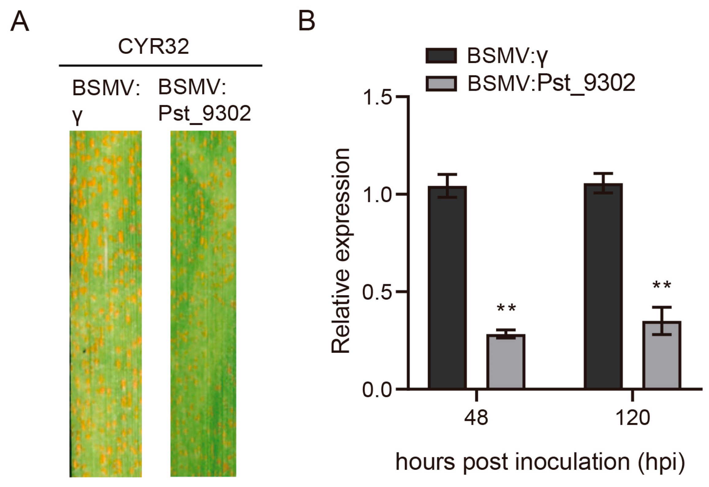 Plants 13 00094 g006