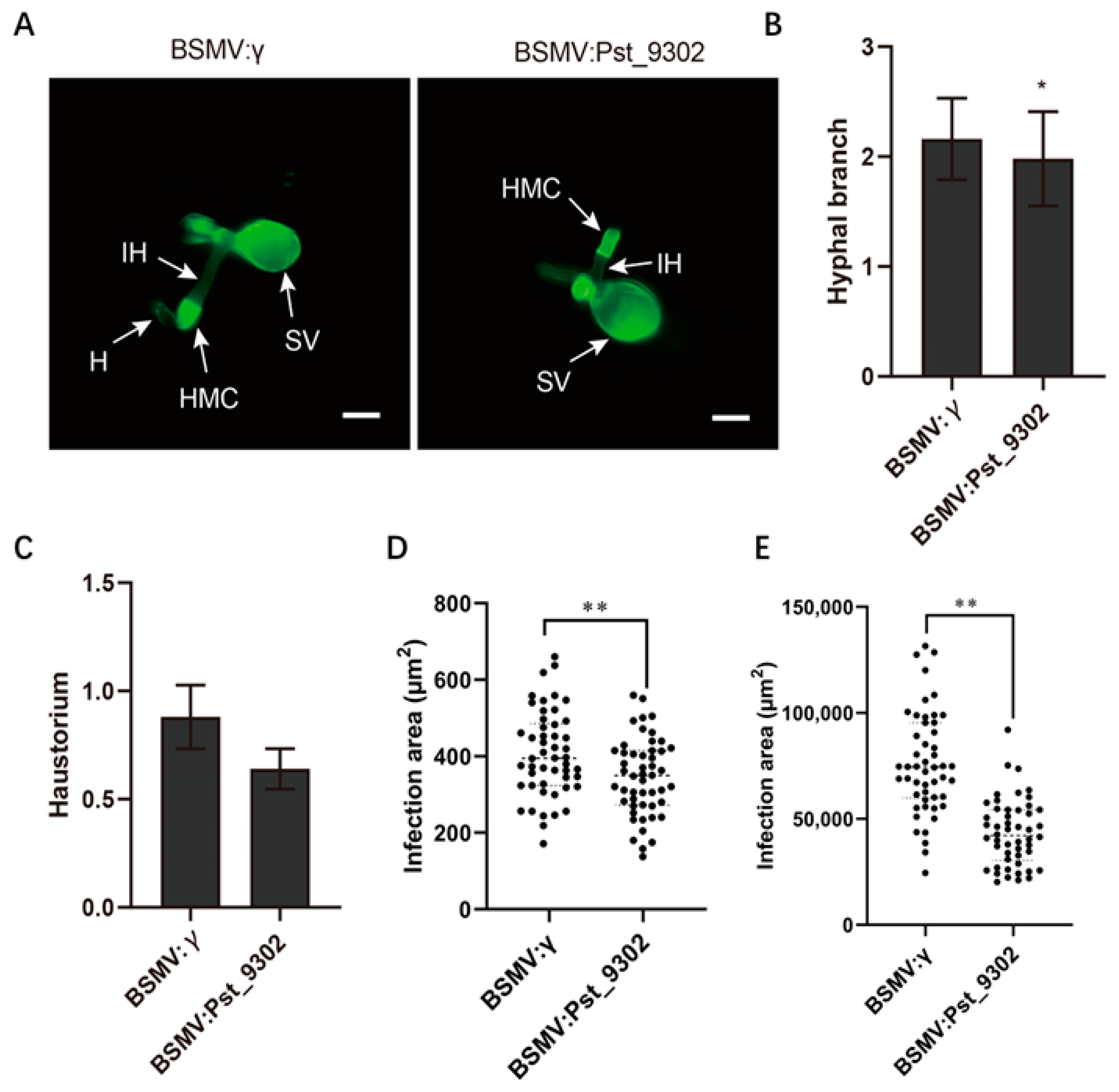 Plants 13 00094 g007