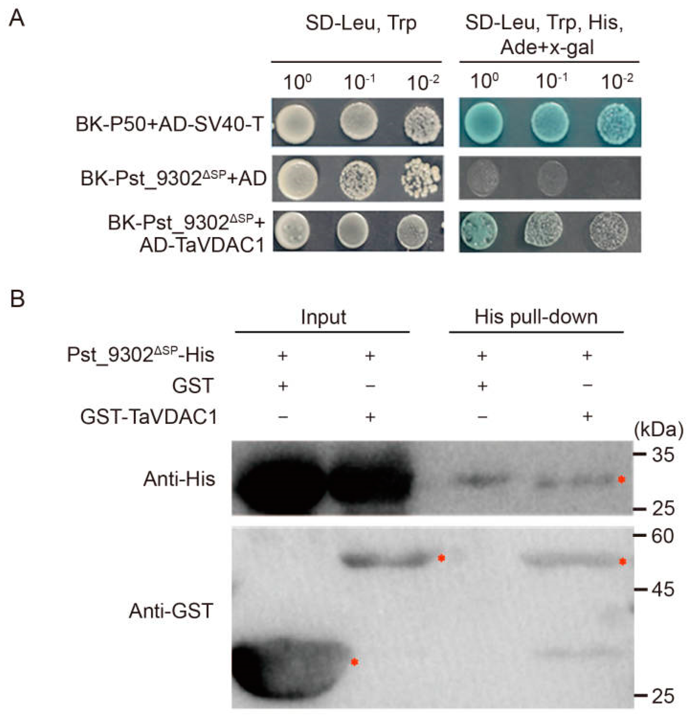 Plants 13 00094 g008