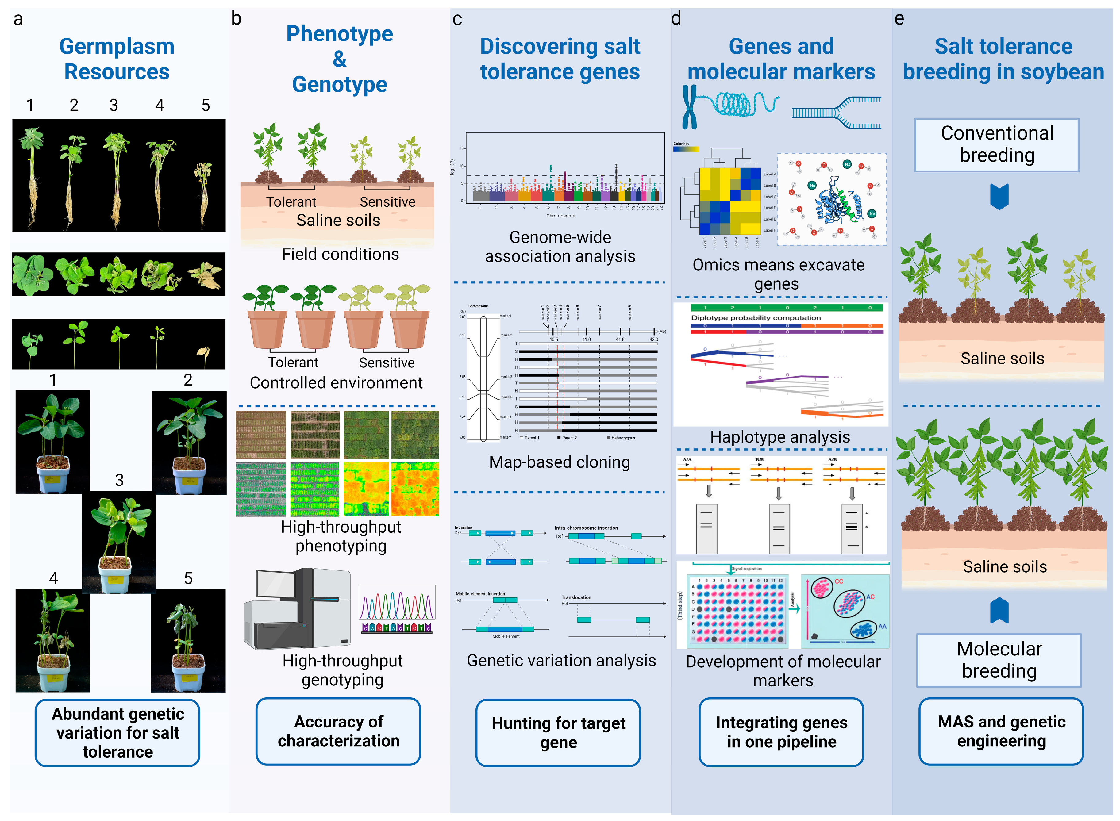 Plants 13 00097 g003