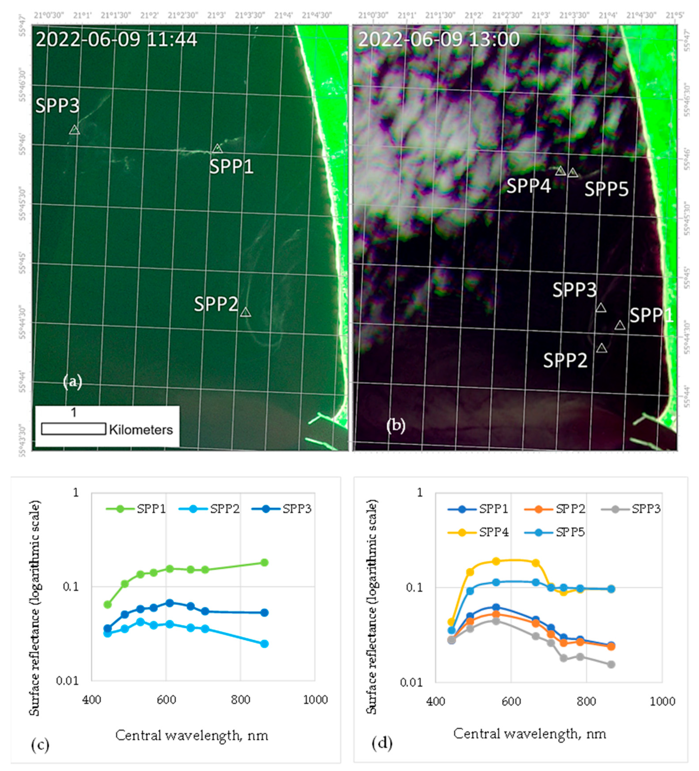 Plants 13 00099 g001