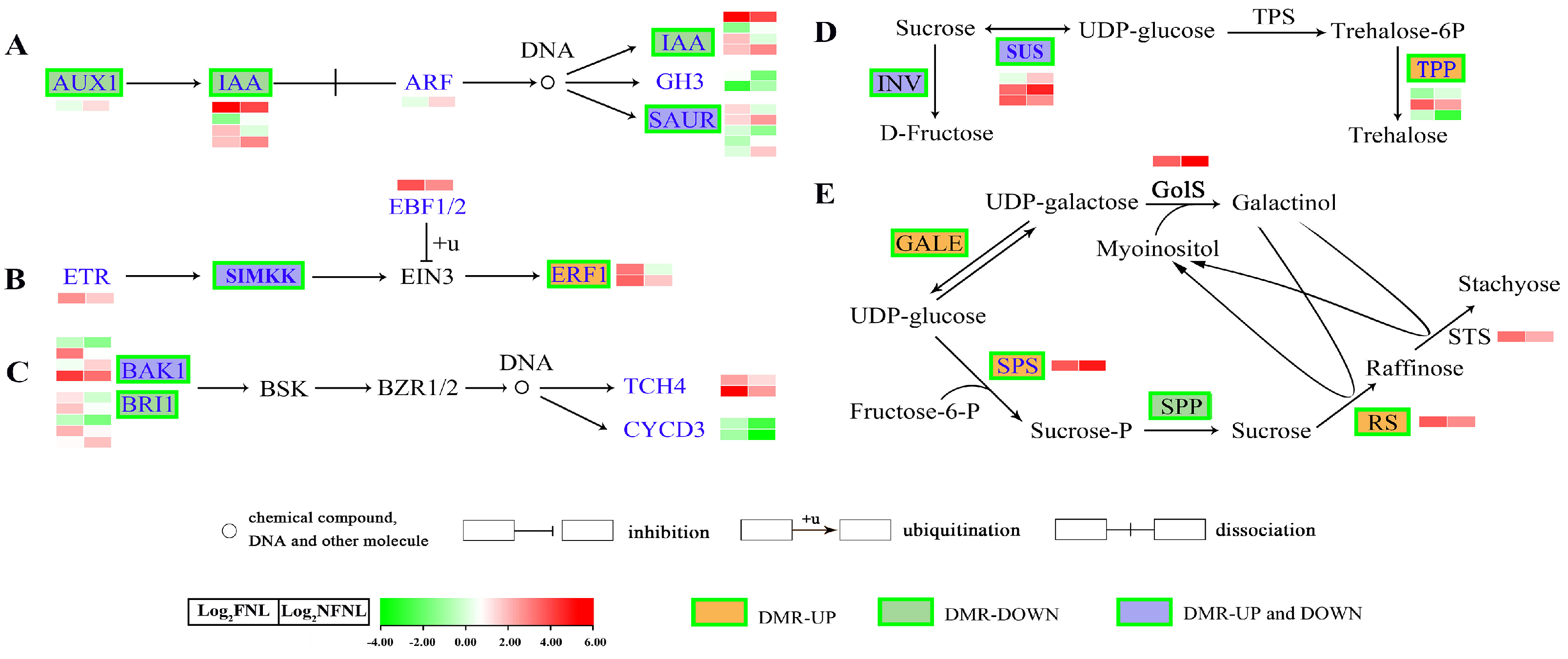 Plants 13 00103 g003