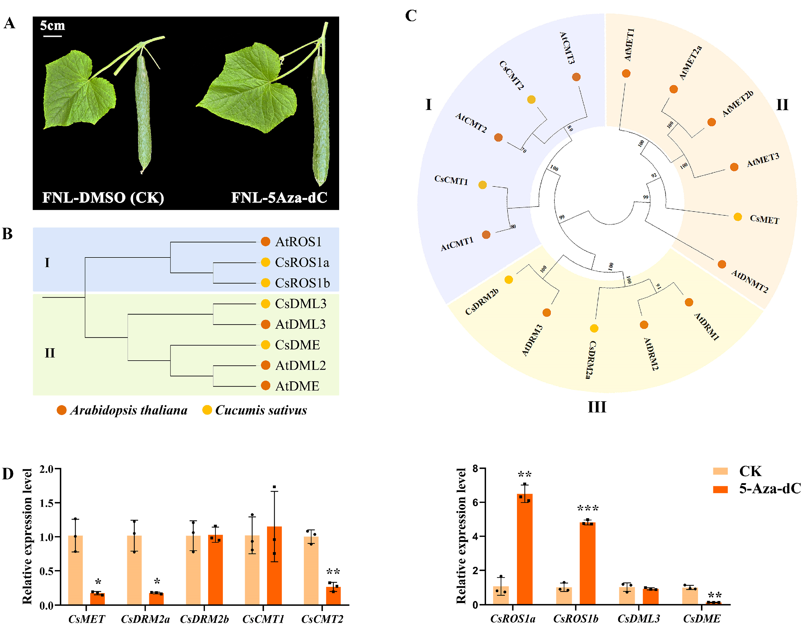 Plants 13 00103 g005