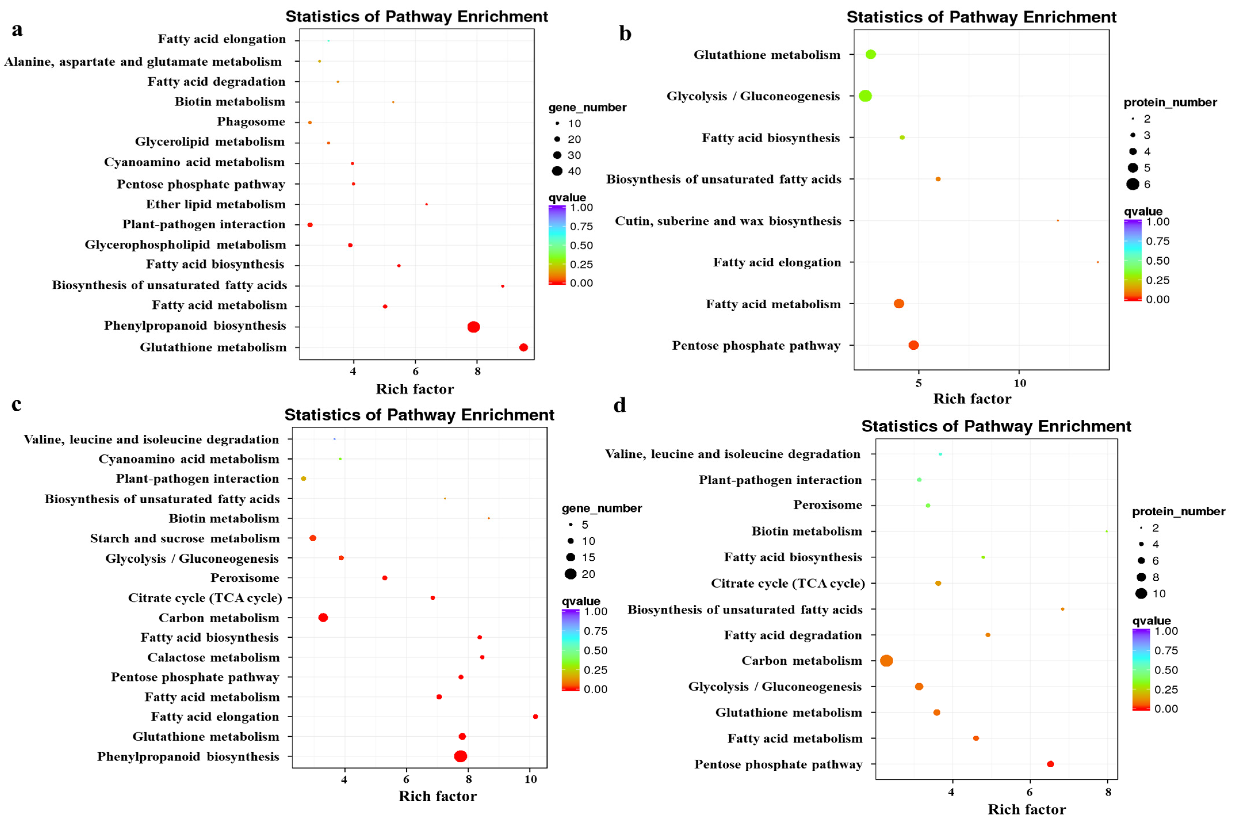 Plants 13 00106 g003