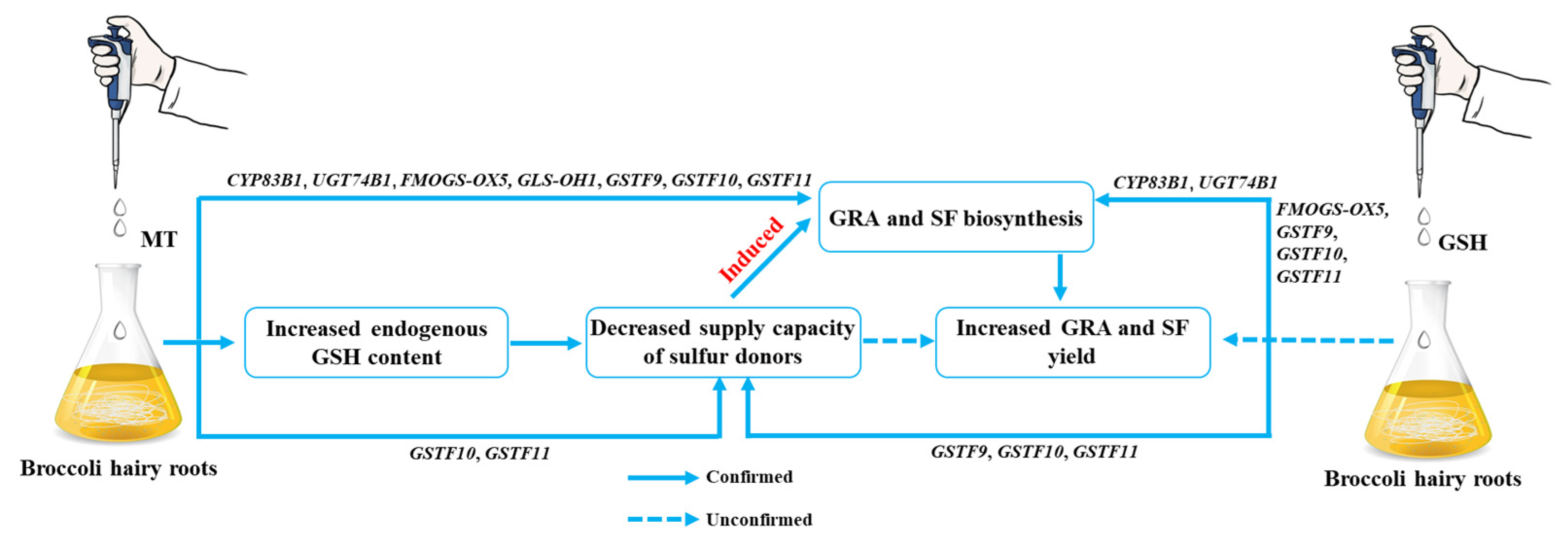 Plants 13 00106 g010