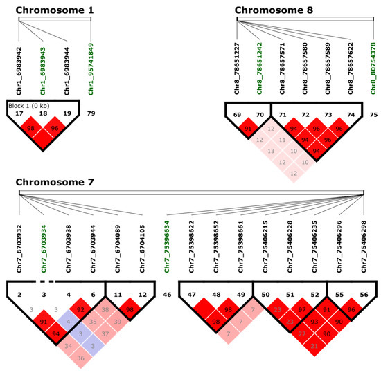 Genetic Mapping of Tolerance to Bacterial Stem Blight Caused