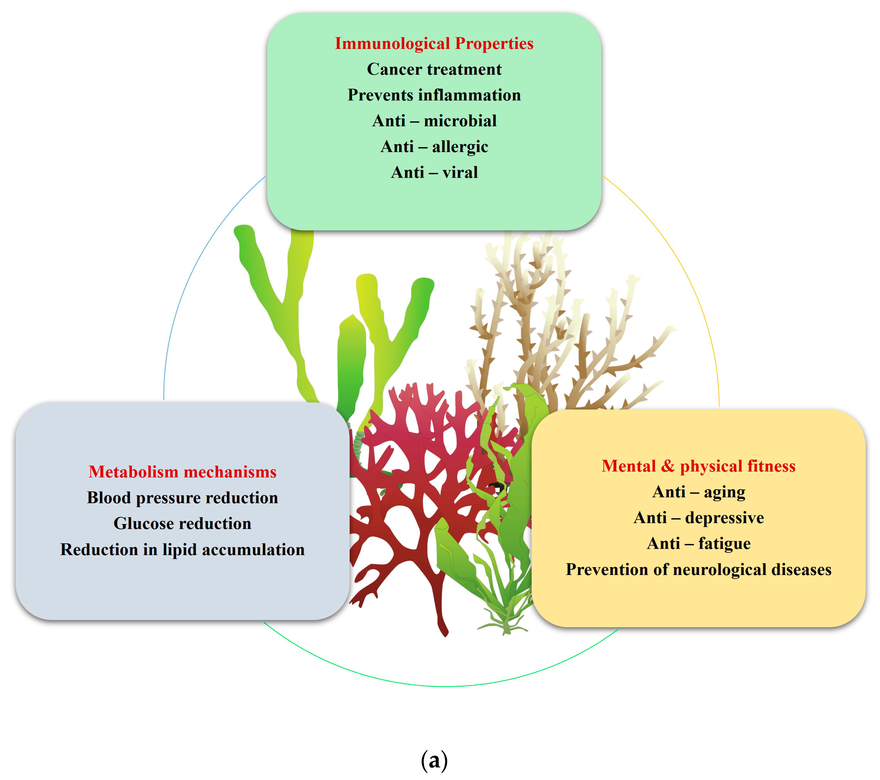 Plants 13 00113 g001a