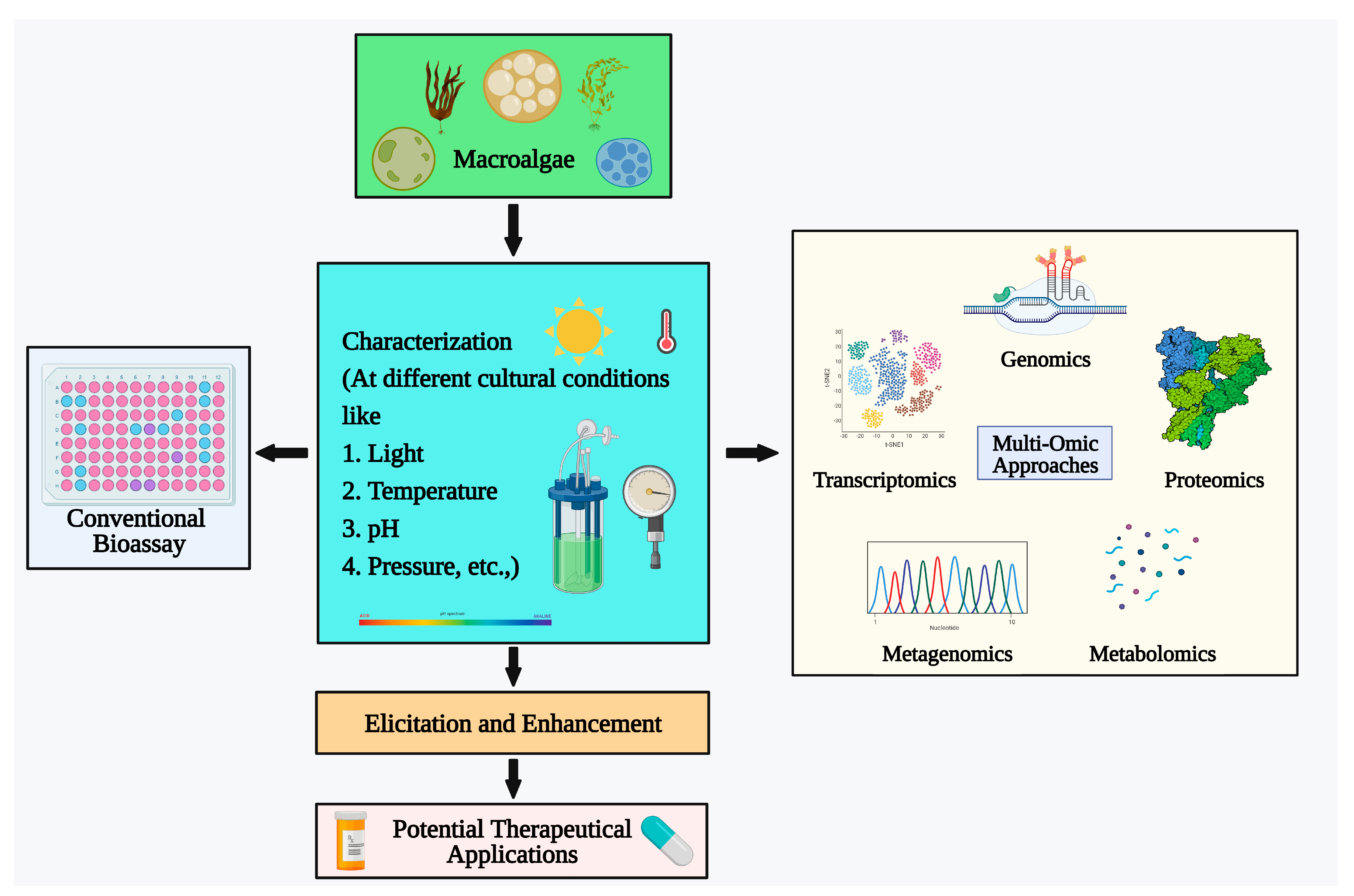 Plants 13 00113 g004