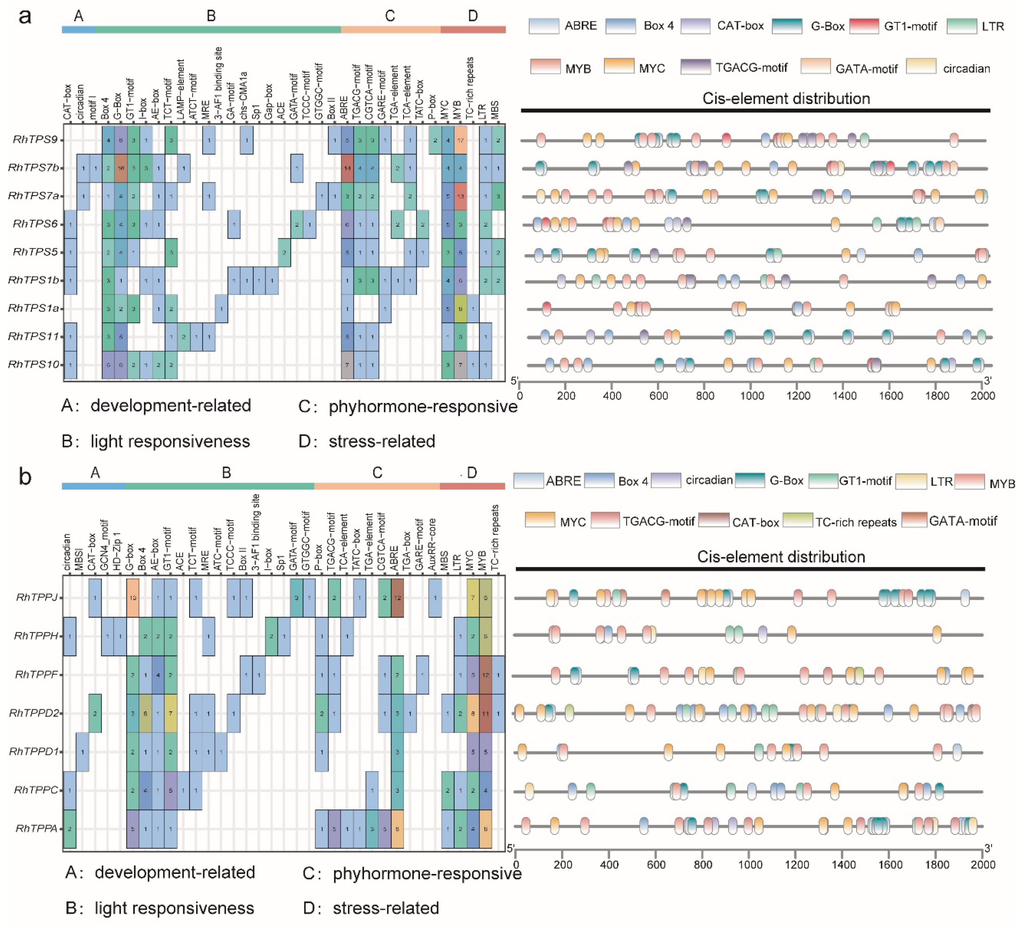 Plants 13 00114 g005