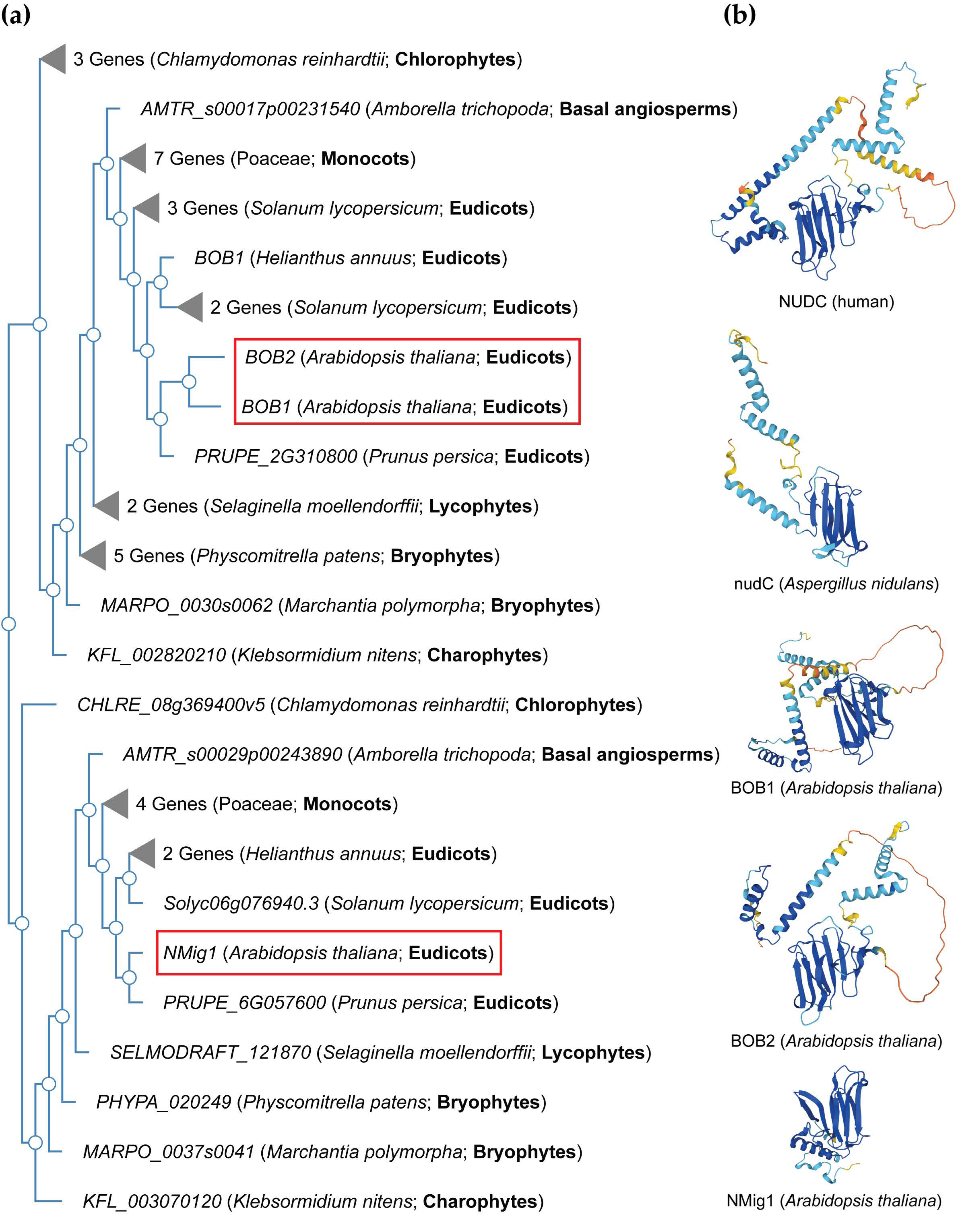 Plants 13 00119 g002 Plants 13 00119 g002