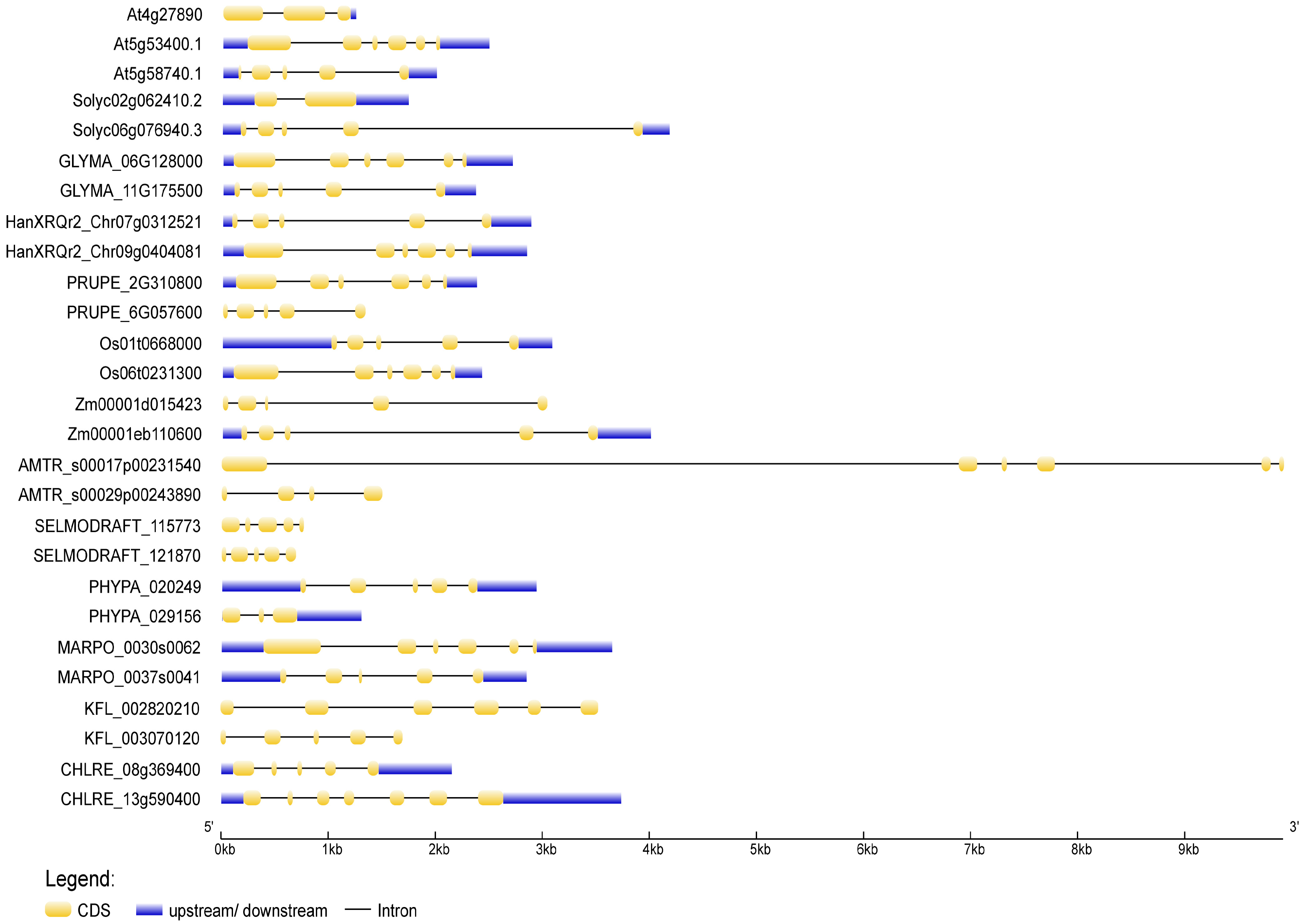 Plants 13 00119 g003 Plants 13 00119 g003