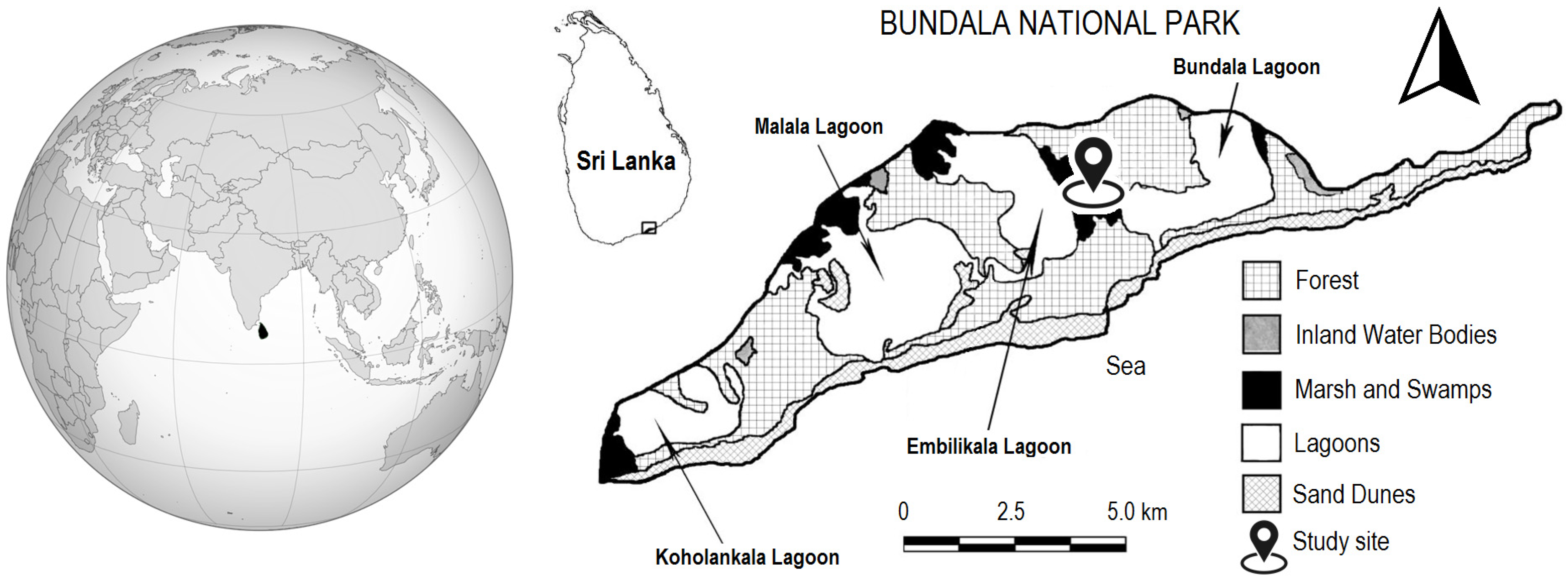 Plants 13 00121 g003 Plants 13 00121 g003